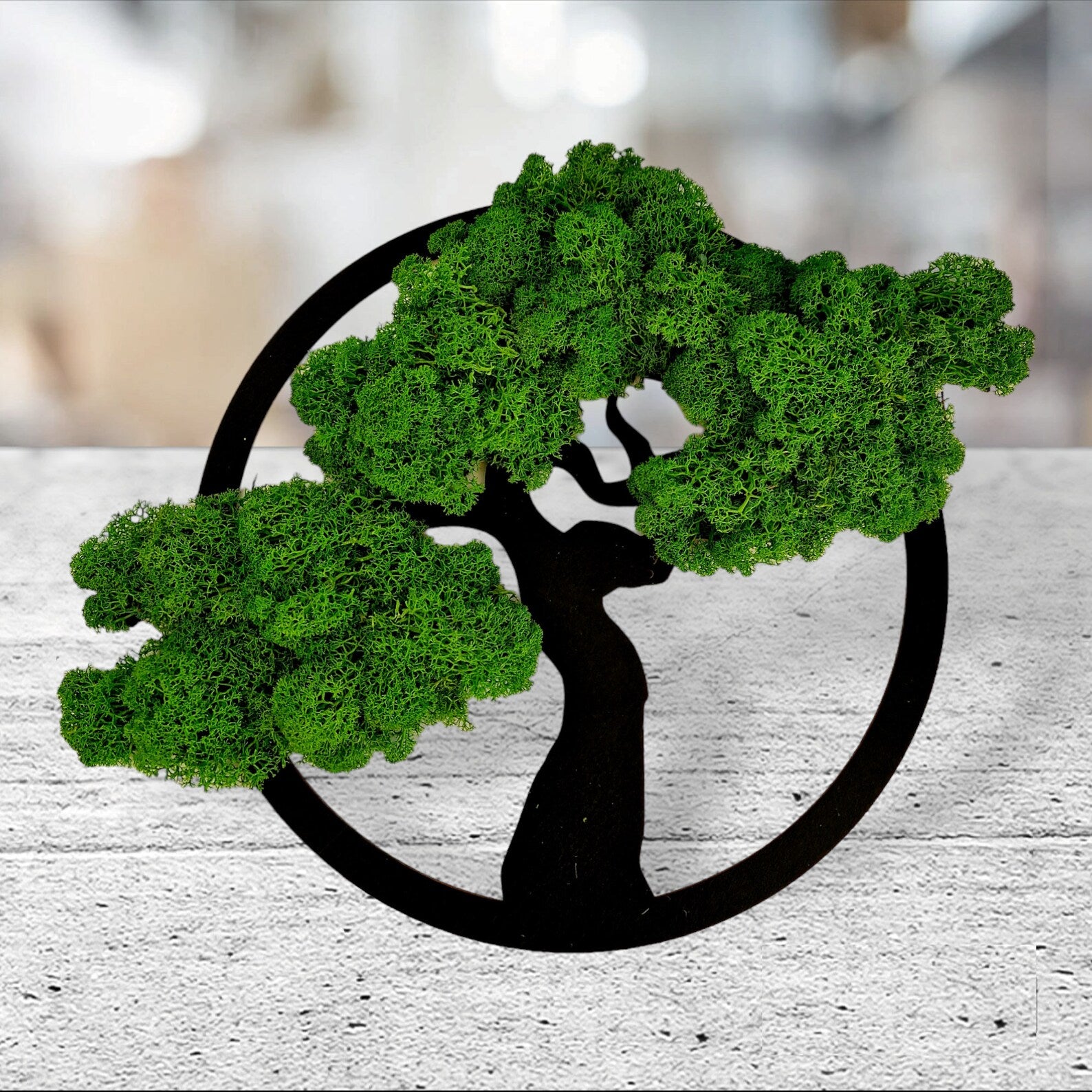 Vertical Preserved Moss Wall Art – Reindeer Moss Tree Decoration for Home & Entryway