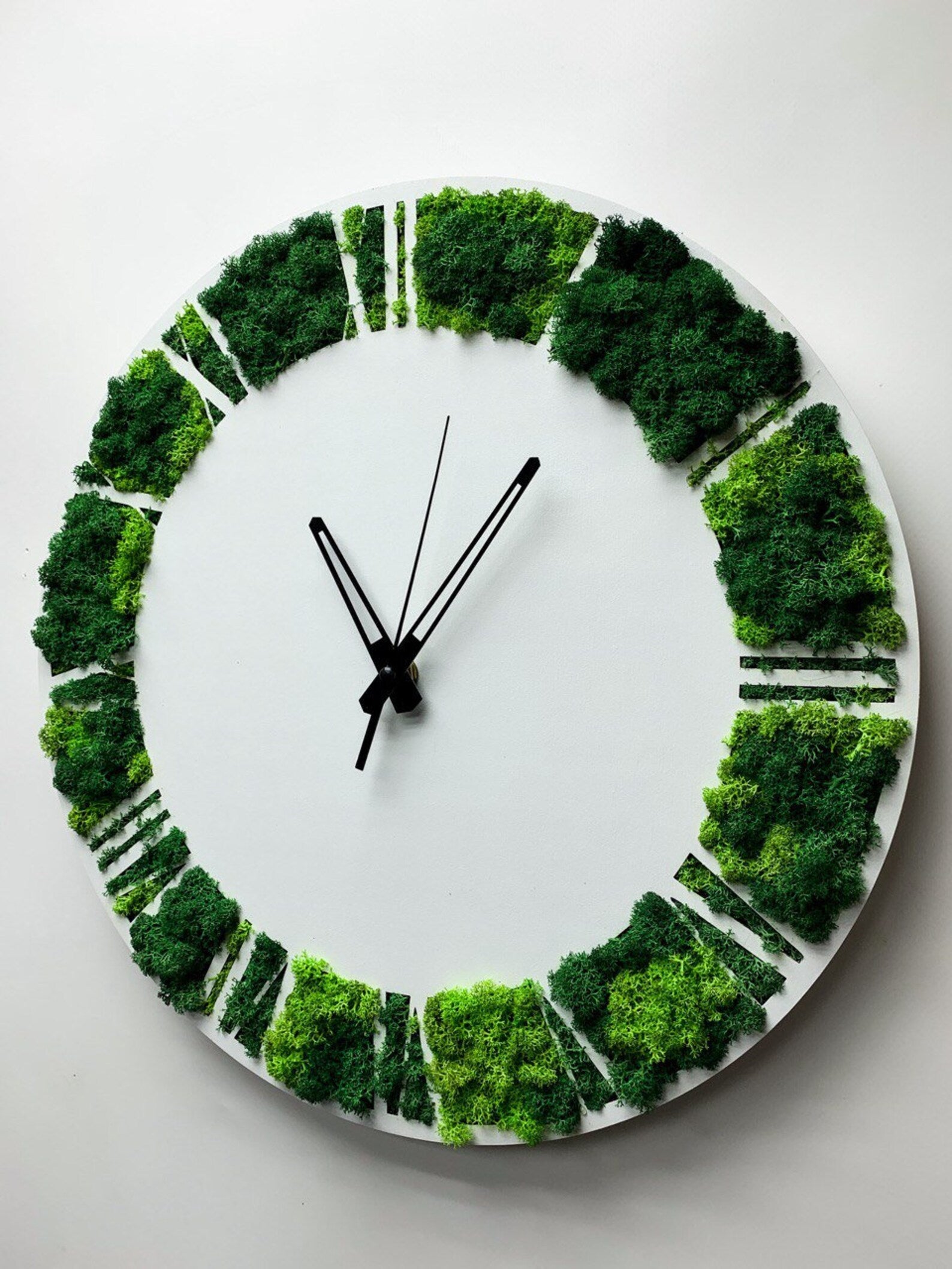 White Wooden Moss Wall Clock – Silent Botanical Wall Décor for Modern Eco Homes