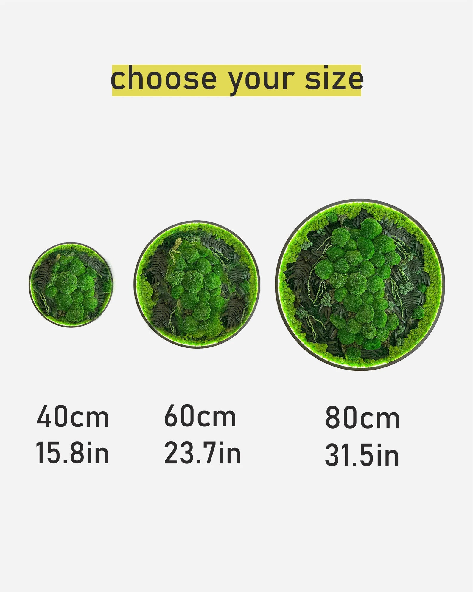 Extra Large Round Moss Wall Art with LED – Circle Framed Green Wall Decor, New Home Gift