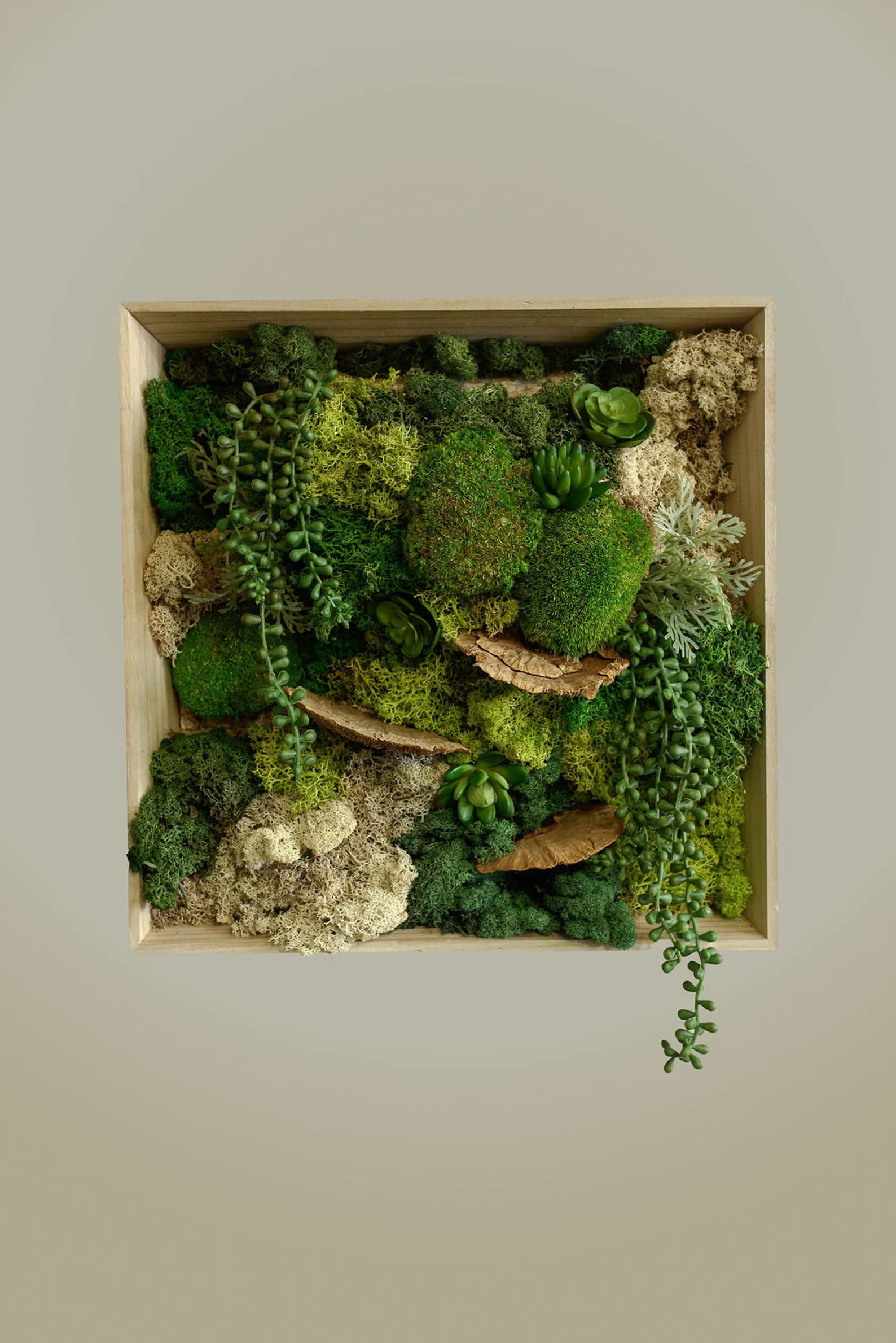 Moss Wall Art – Handmade Preserved Green Wall Decor, Anniversary Gift