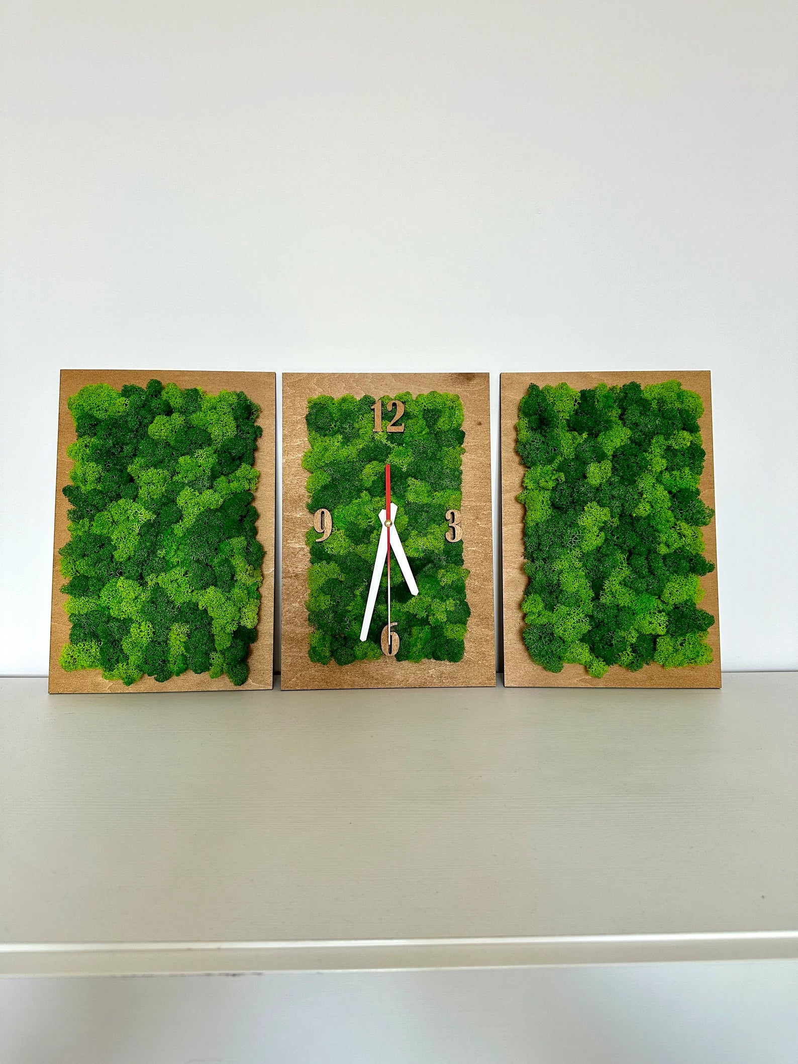 Plywood Moss Wall Clock Set – Green Preserved Moss Wall Hanging Panels