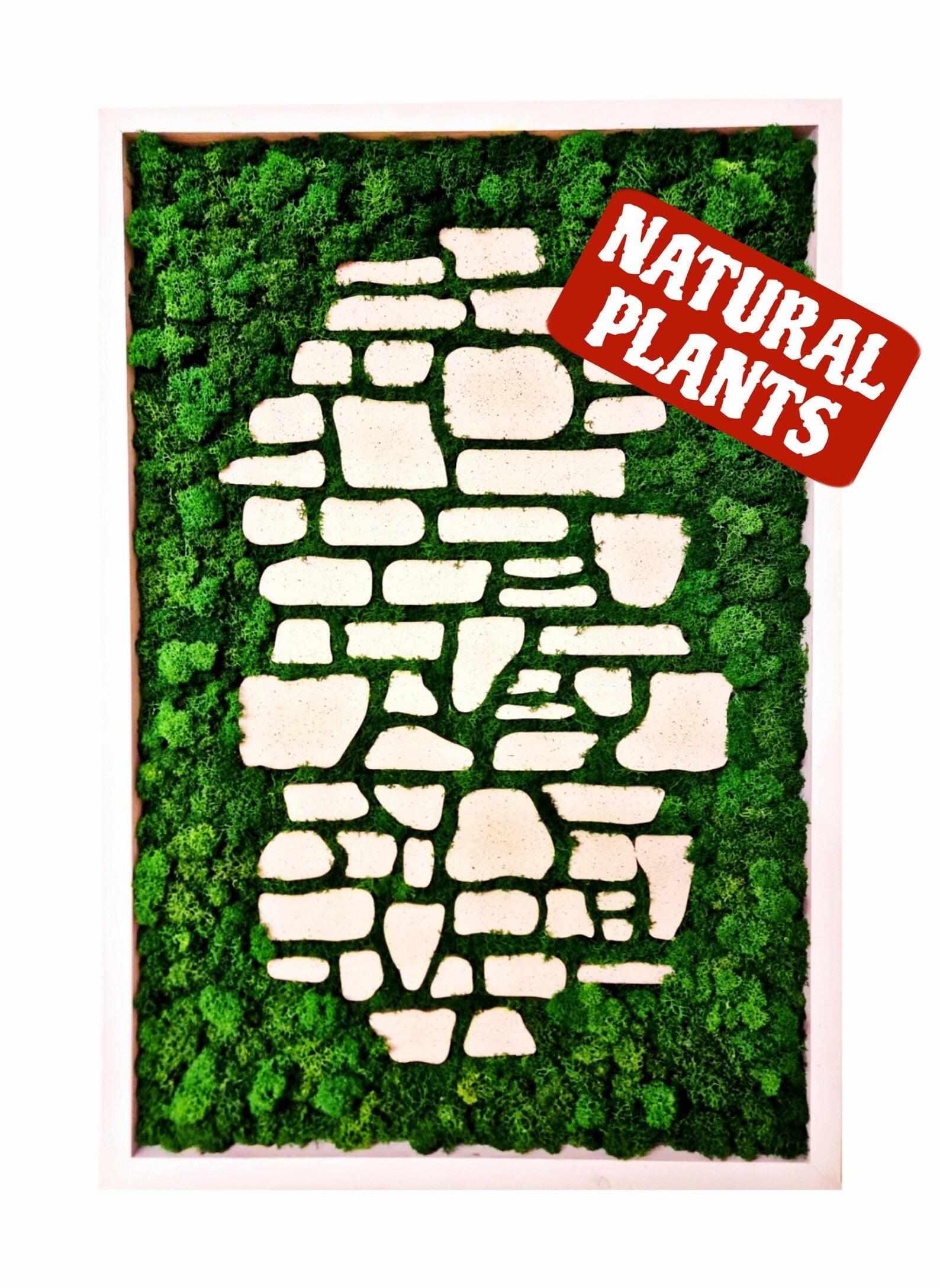 Biophilic Moss Wall Art – Handmade Preserved Green Nature Home Decoration