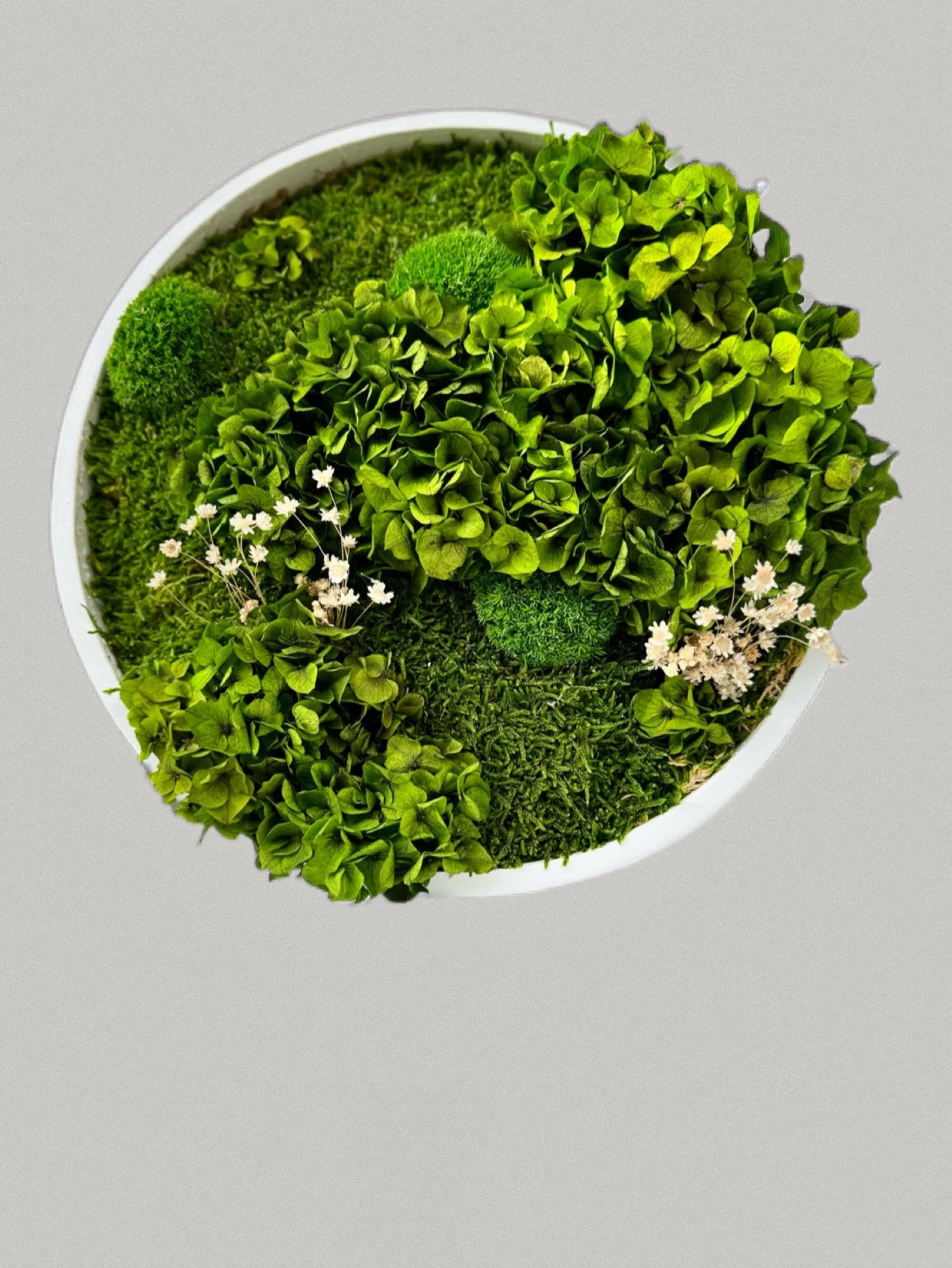 Round Moss Wall Art – Preserved Green Moss Decor | Circular Living Wall Design