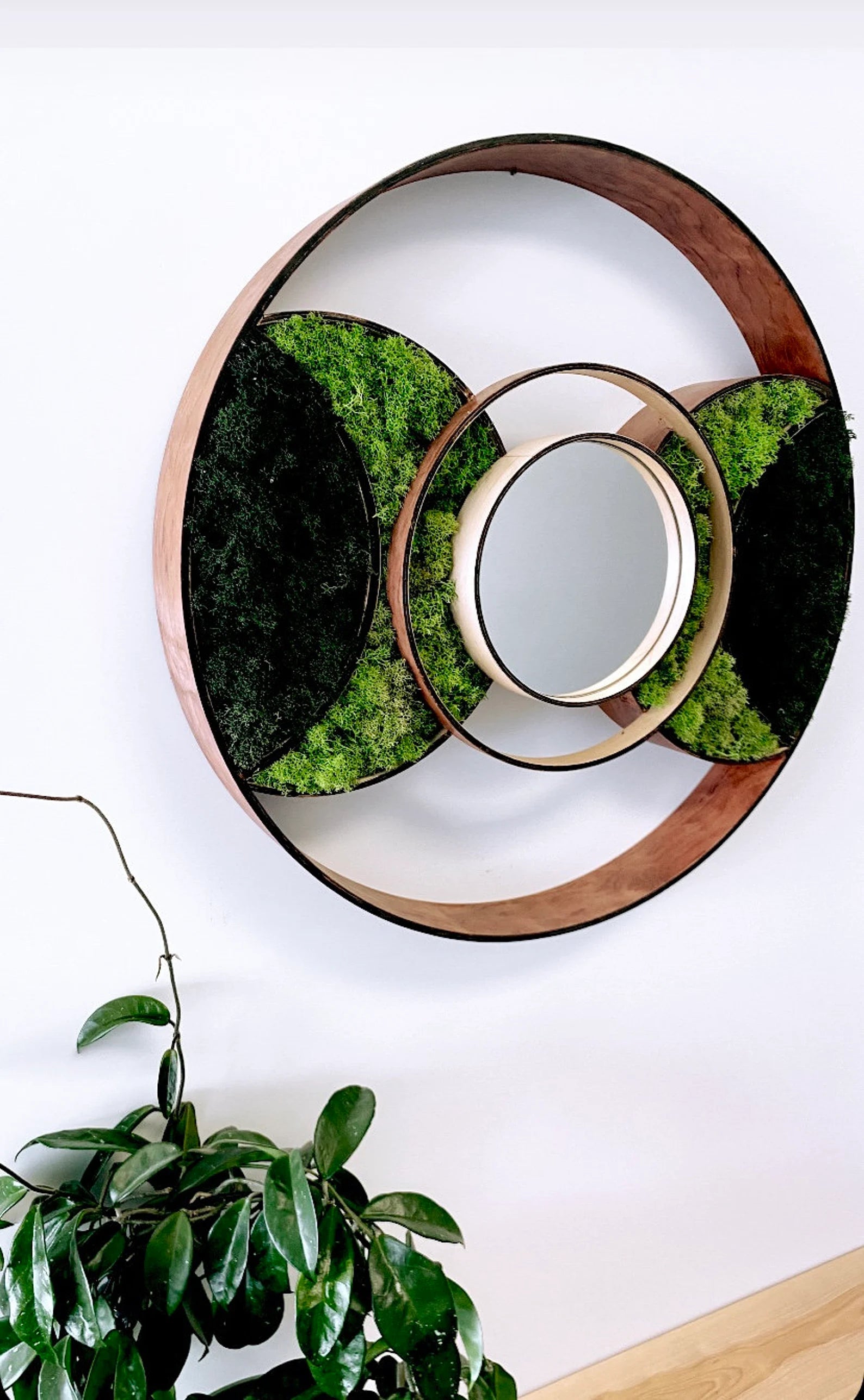 Bubinga Wood Moss Mirror – 24” Eclipse Wall Art for Modern Home Decor