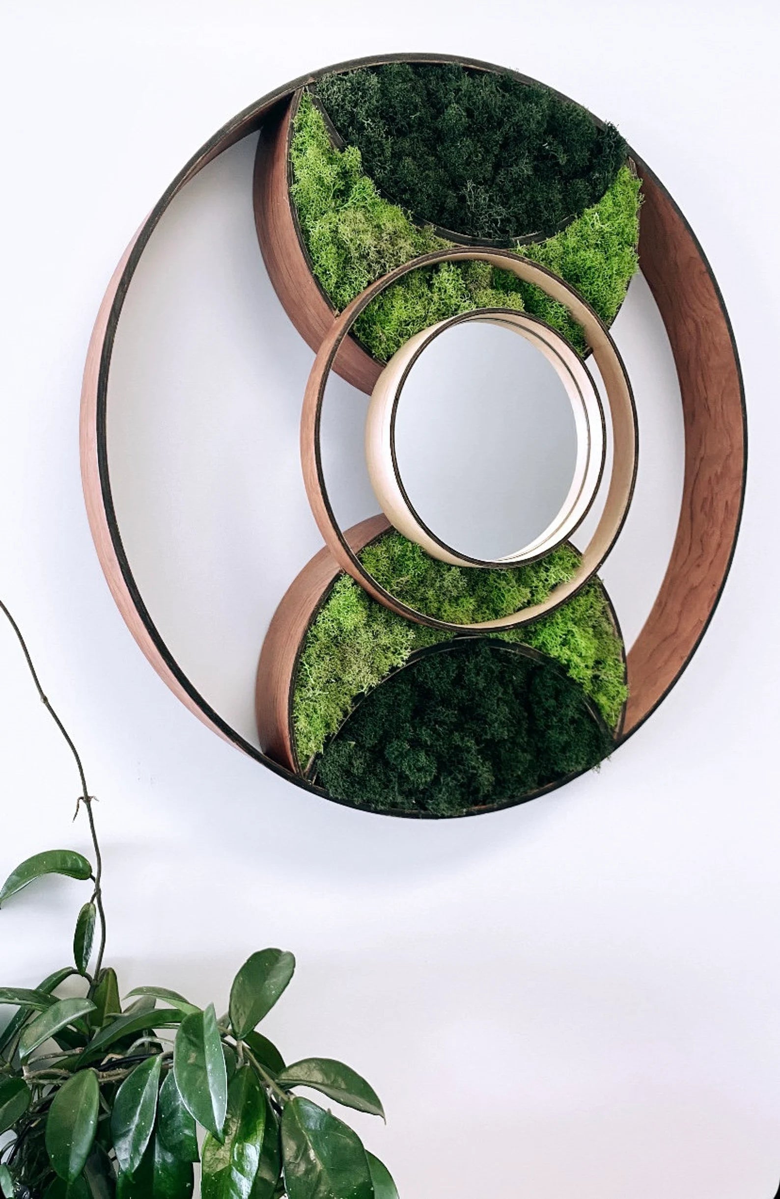 Bubinga Wood Moss Mirror – 24” Eclipse Wall Art for Modern Home Decor