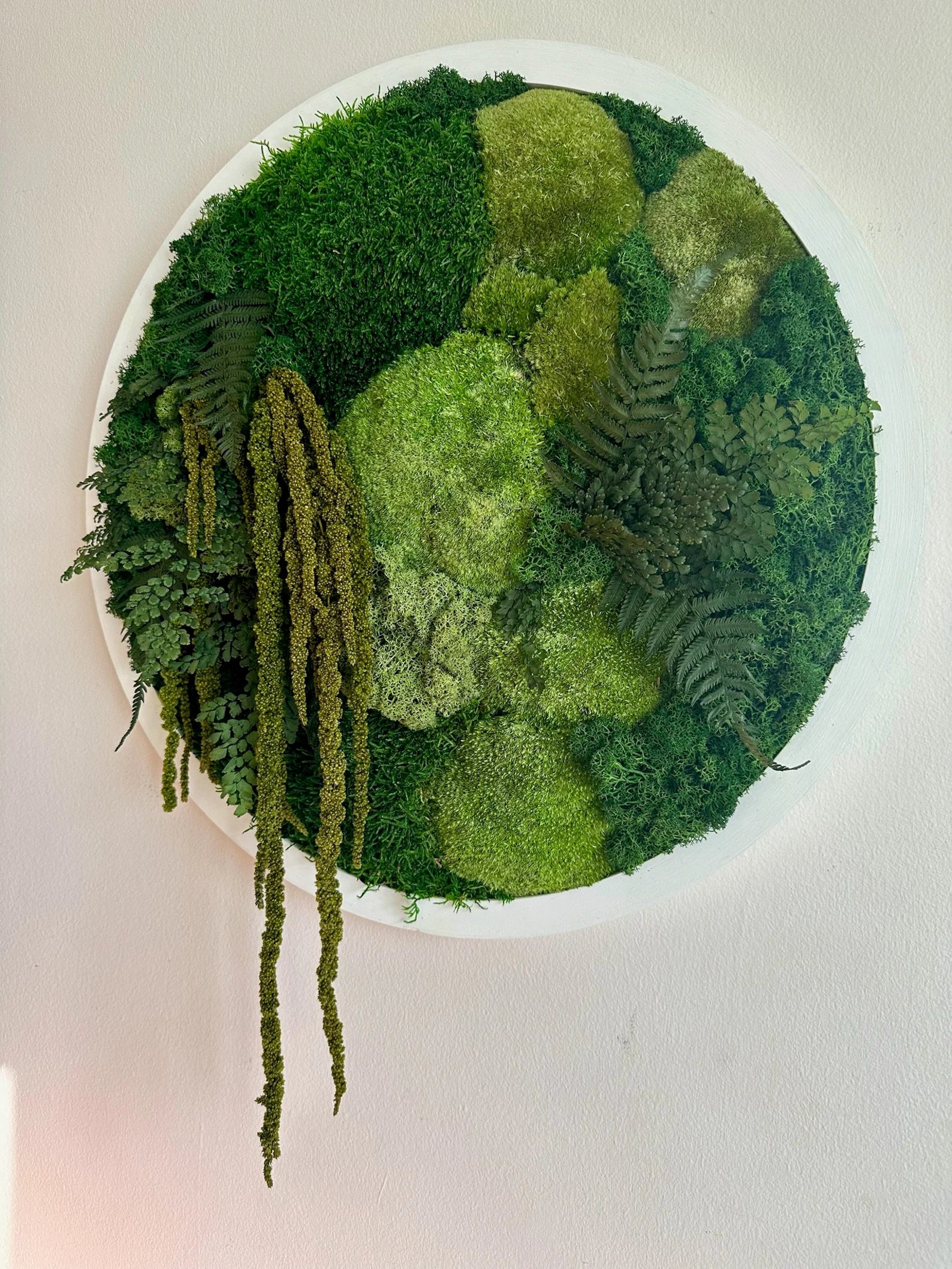 Round Moss Wall Art – 20" Circle Frame with Preserved Reindeer & Sheet Moss