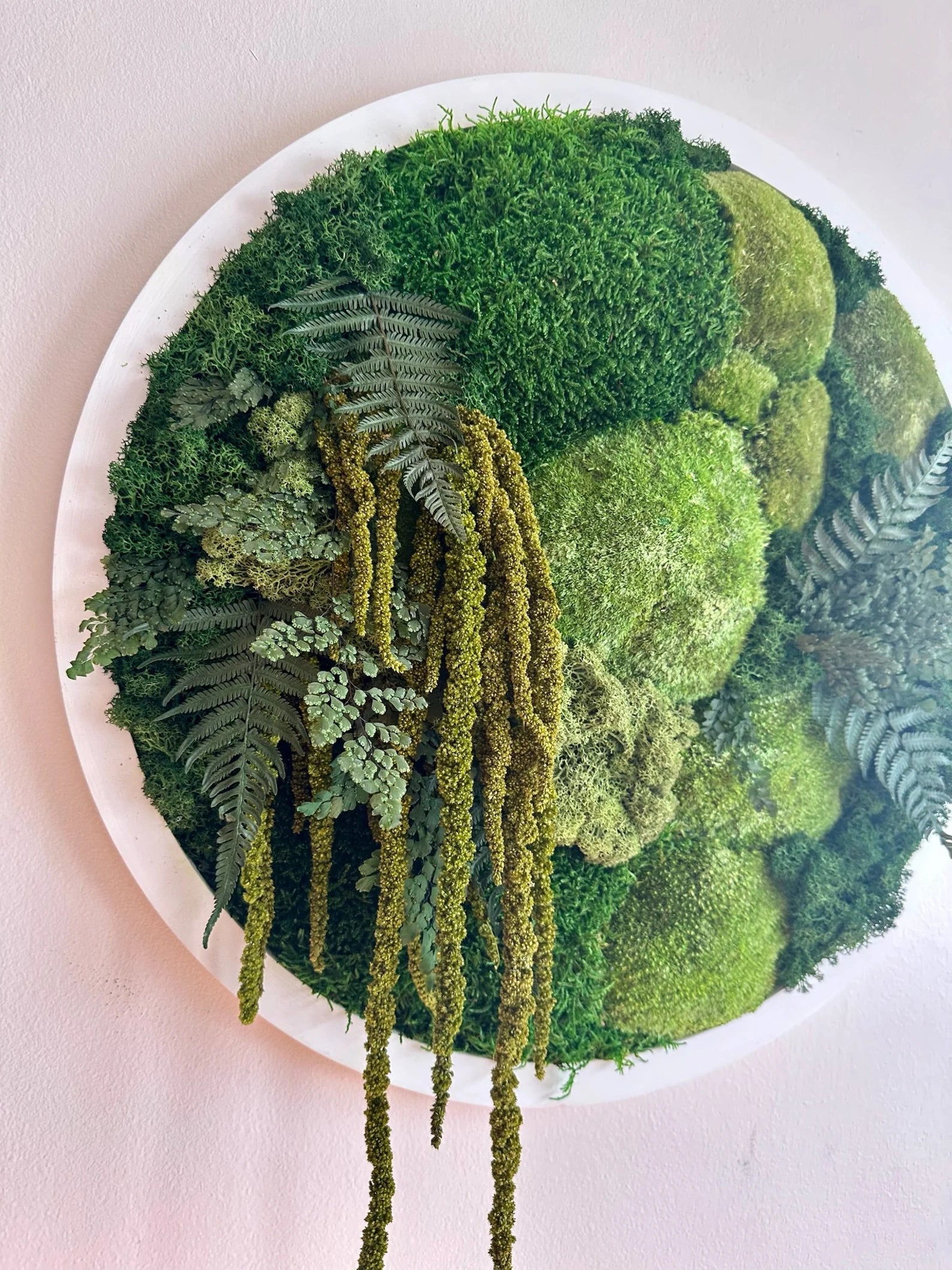 Round Moss Wall Art – 20" Circle Frame with Preserved Reindeer & Sheet Moss