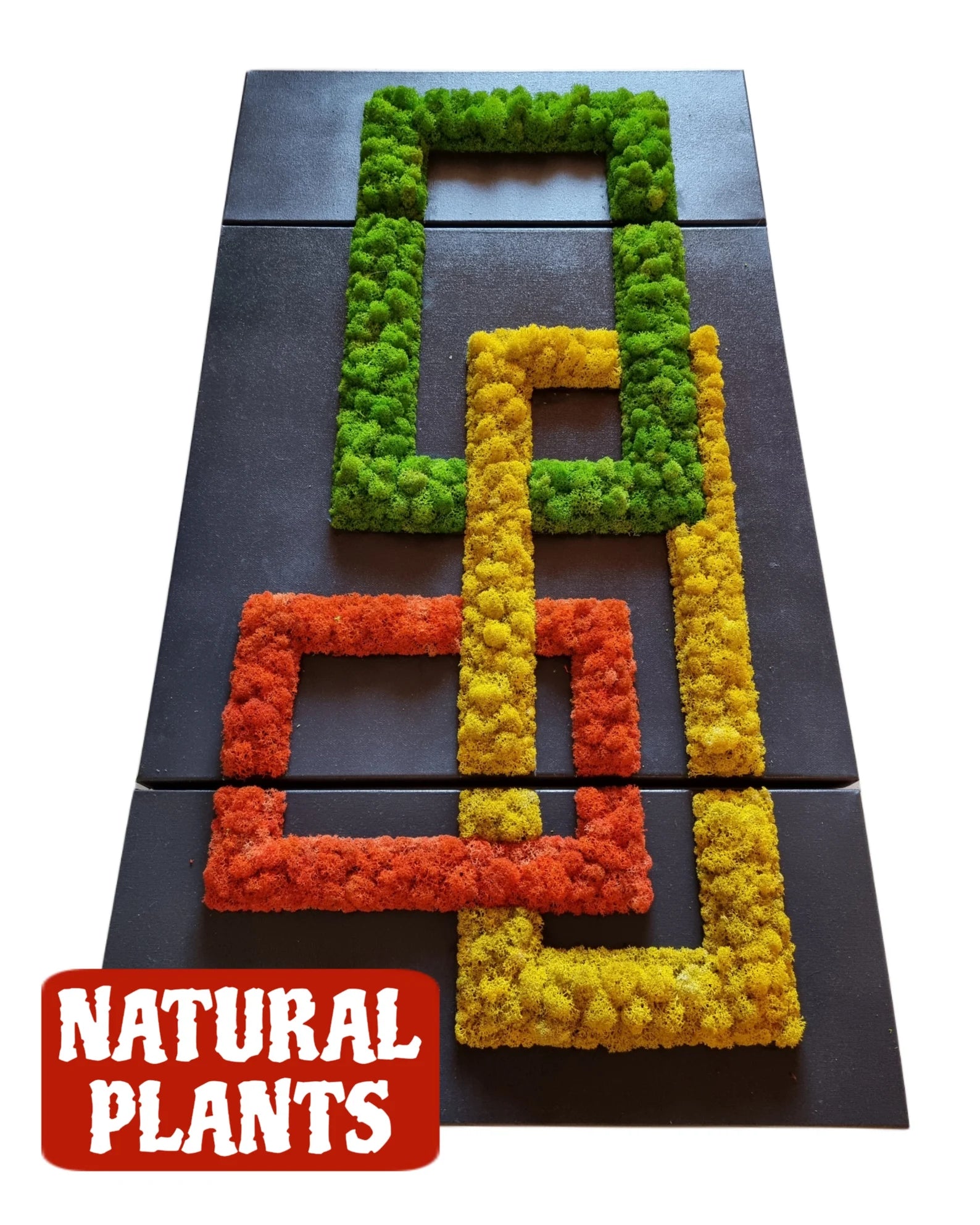 Moss Wall Art – Handmade Preserved Moss Frame | Nature Wall Decor & Green Biophilic Design