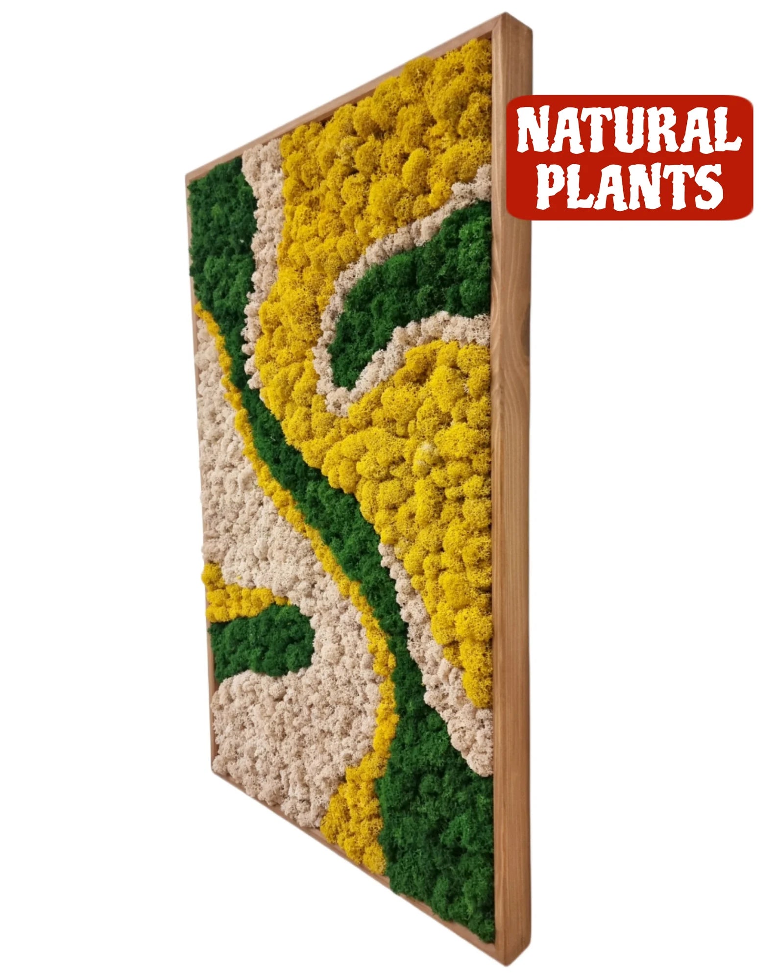Nature Moss Wall Art – Handmade Preserved Green Wall Decor | Abstract Earth-Tone Biophilic Design