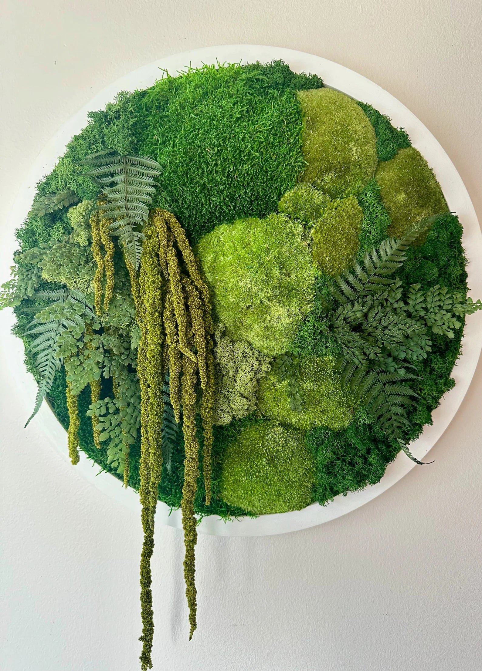 Round Moss Wall Art – 20" Circle Frame with Preserved Reindeer & Sheet Moss