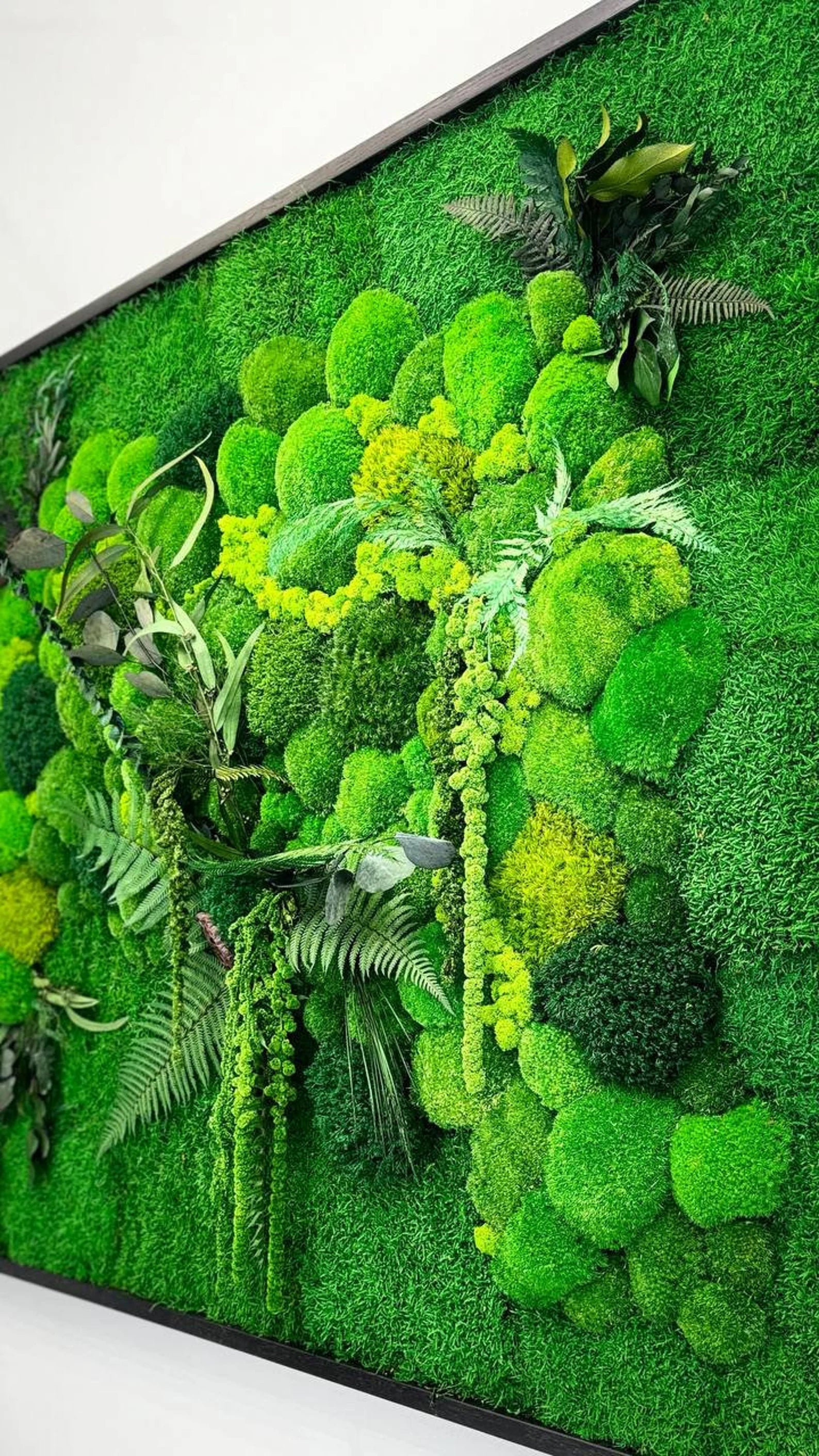 Unique Moss Wall Frame – Modern Green Wall Art for Home & Office