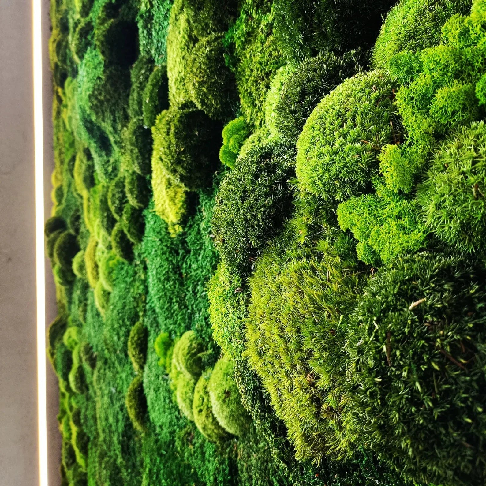 Large Moss Wall Art – 50x100 cm Living Green Wall Decor