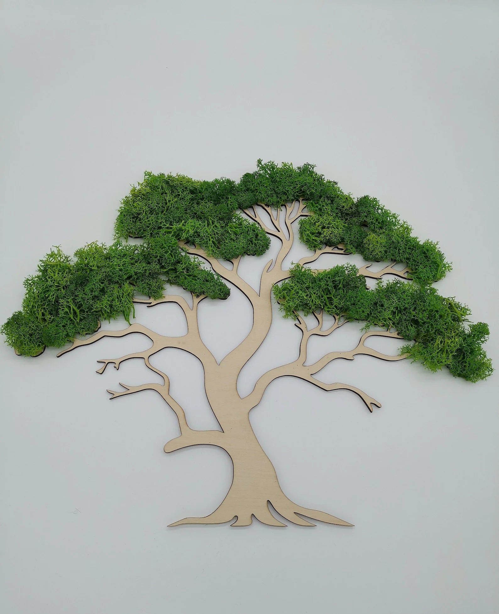 African Tree Moss Wall Art – Wooden Mural with Preserved Moss