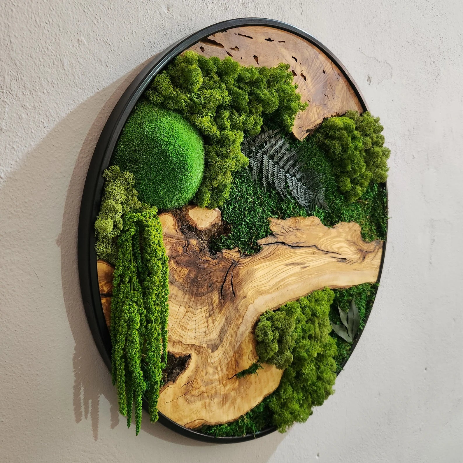 Moss and Olive Wood Wall Art with Metal Frame – Preserved Moss Wall Decor for Home or Office