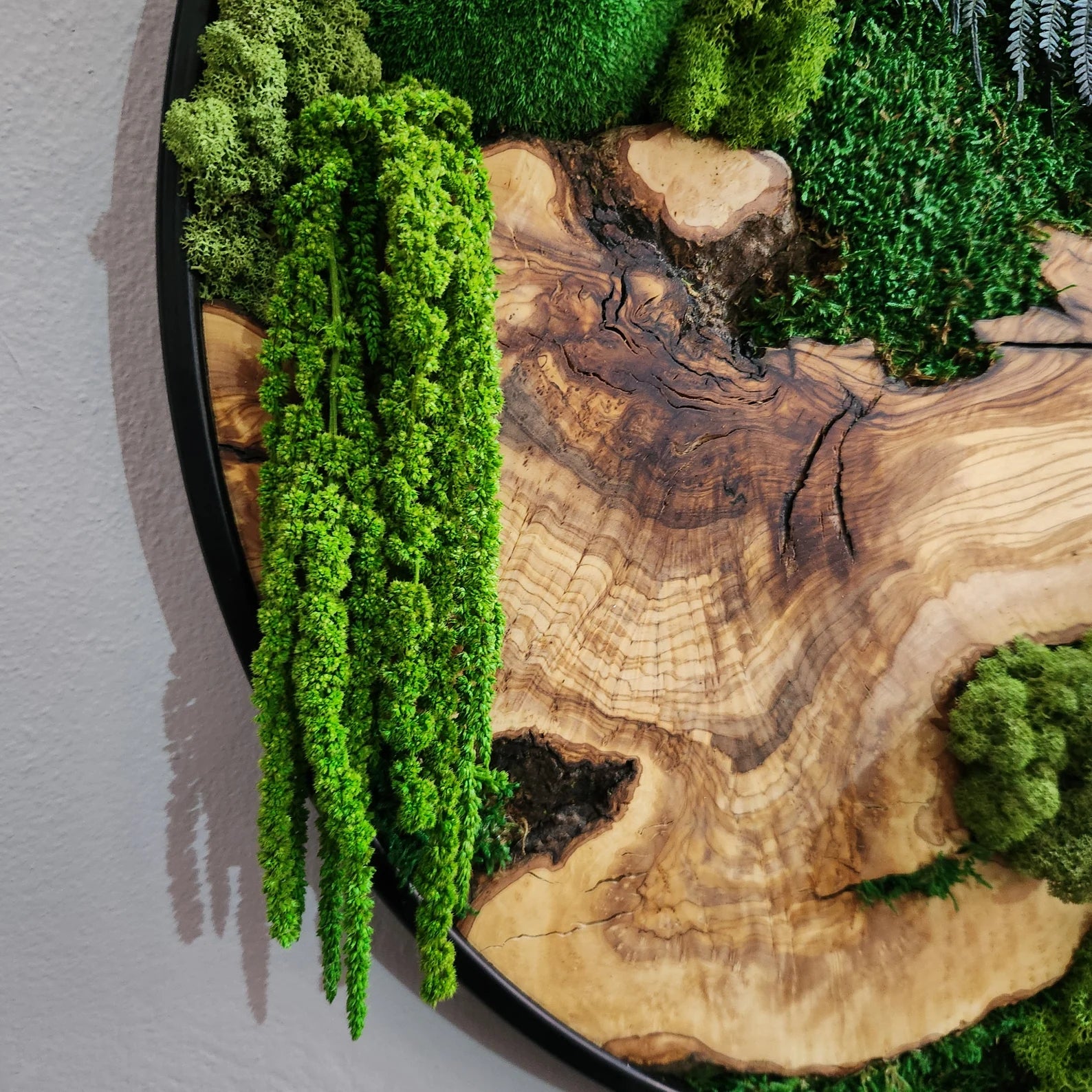 Moss and Olive Wood Wall Art with Metal Frame – Preserved Moss Wall Decor for Home or Office