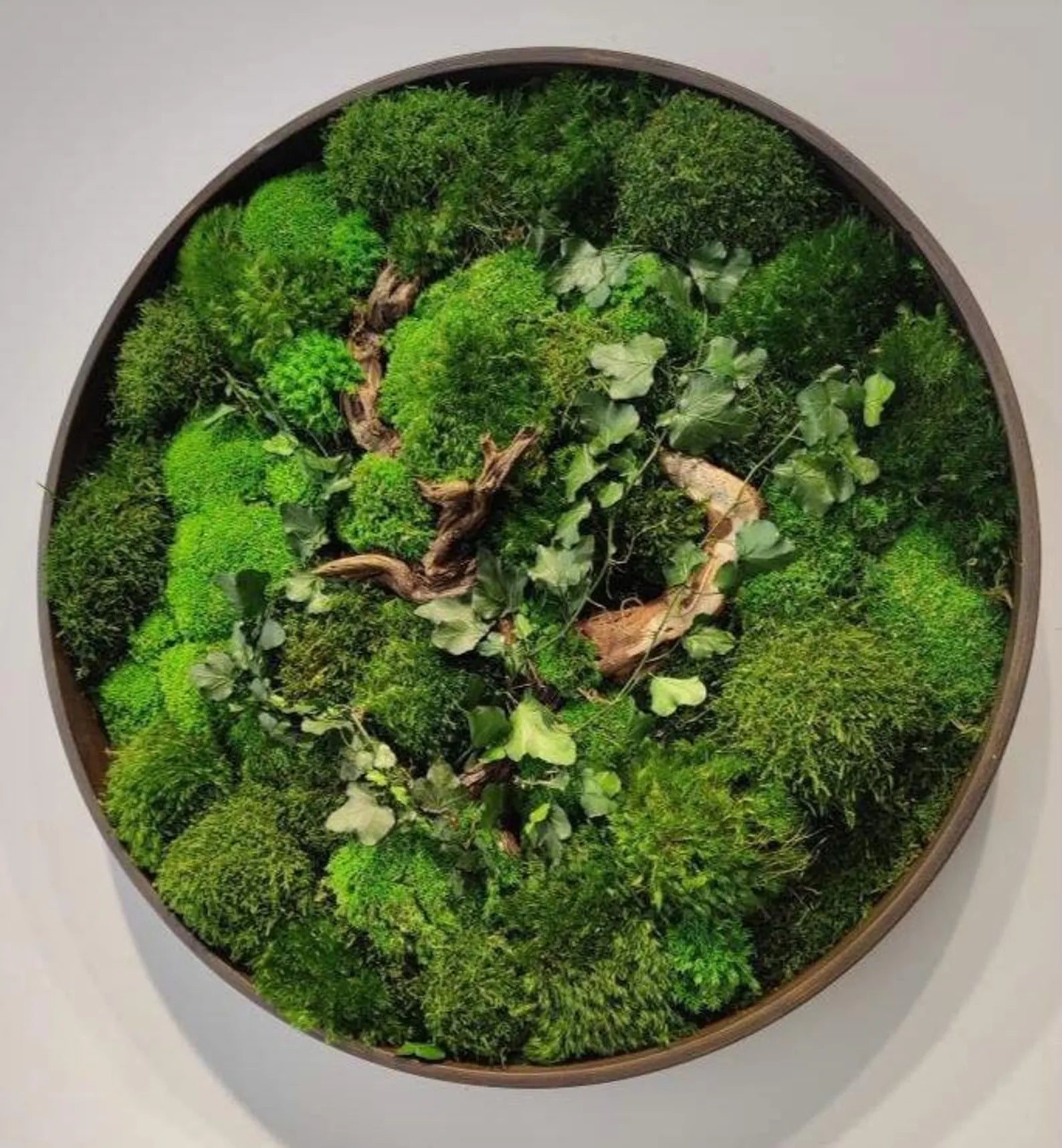 Round Moss Wall Art – Handmade Preserved Green Decor | Eco-Friendly Botanical Accent Frame