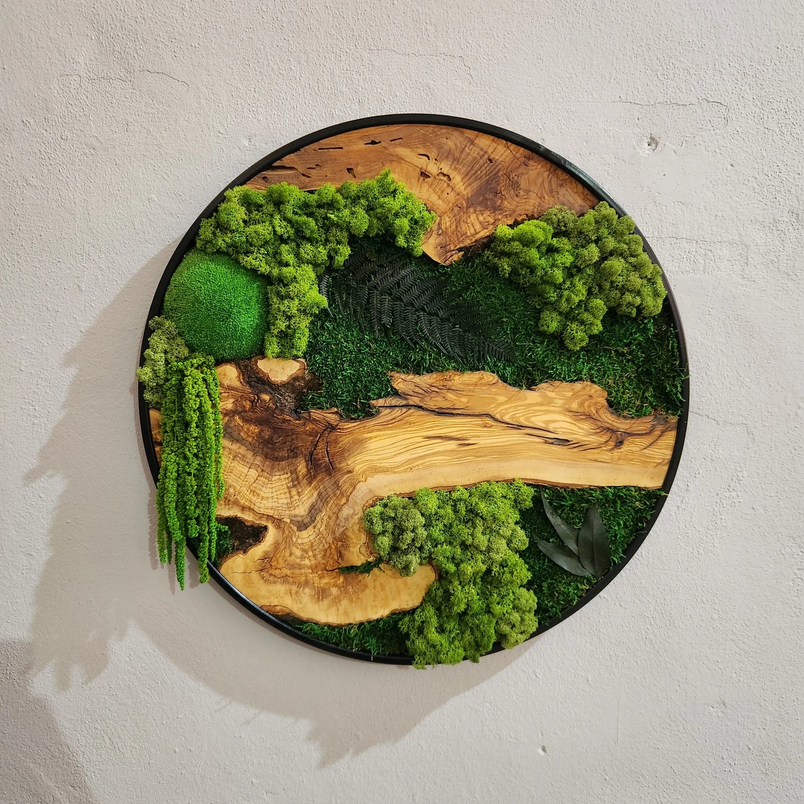 Moss and Olive Wood Wall Art with Metal Frame – Preserved Moss Wall Decor for Home or Office