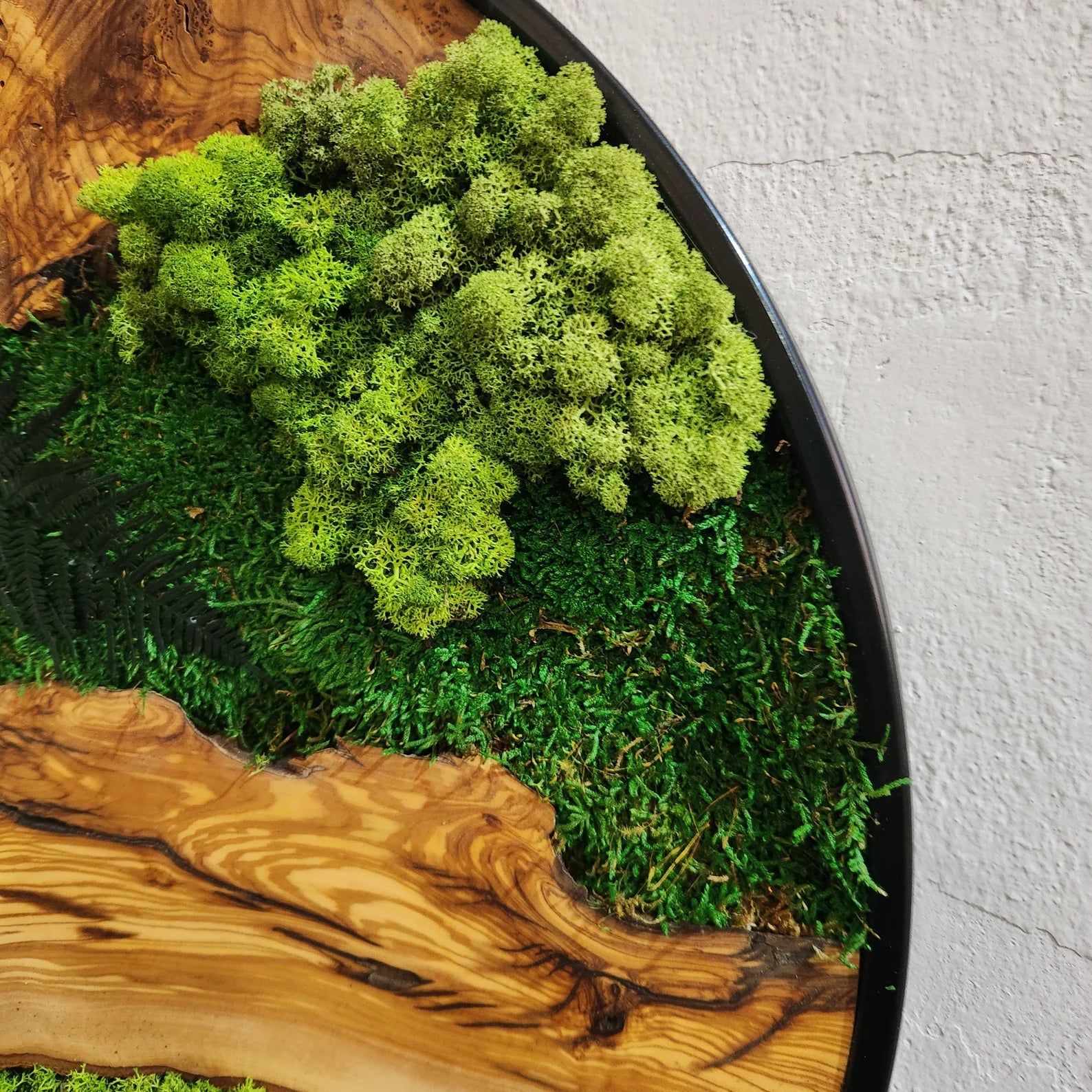 Moss and Olive Wood Wall Art with Metal Frame – Preserved Moss Wall Decor for Home or Office