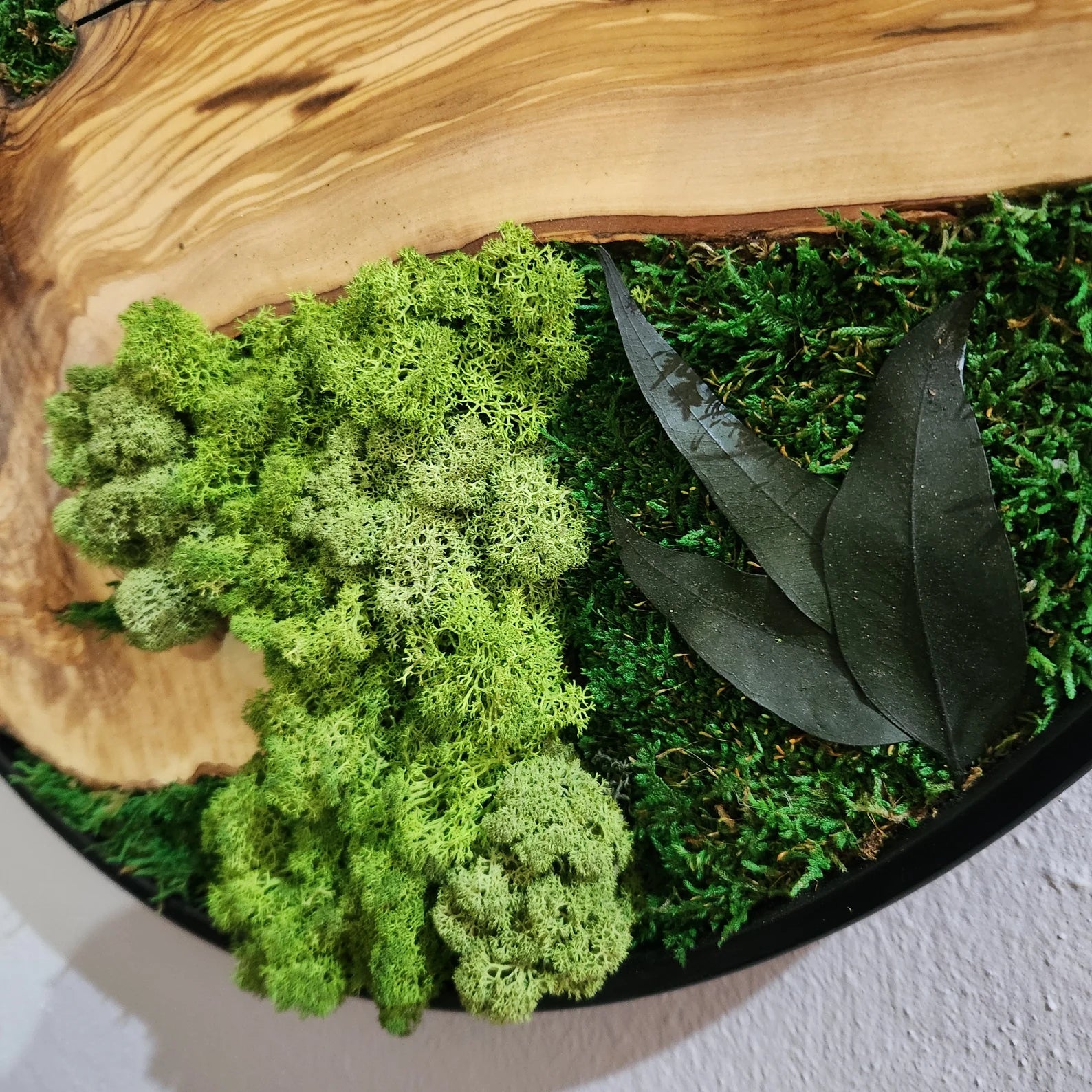 Moss and Olive Wood Wall Art with Metal Frame – Preserved Moss Wall Decor for Home or Office