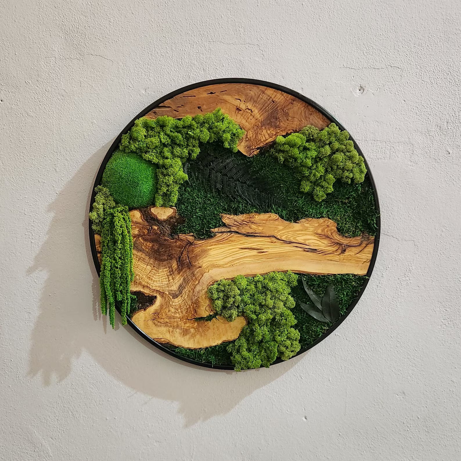 Moss and Olive Wood Wall Art with Metal Frame – Preserved Moss Wall Decor for Home or Office