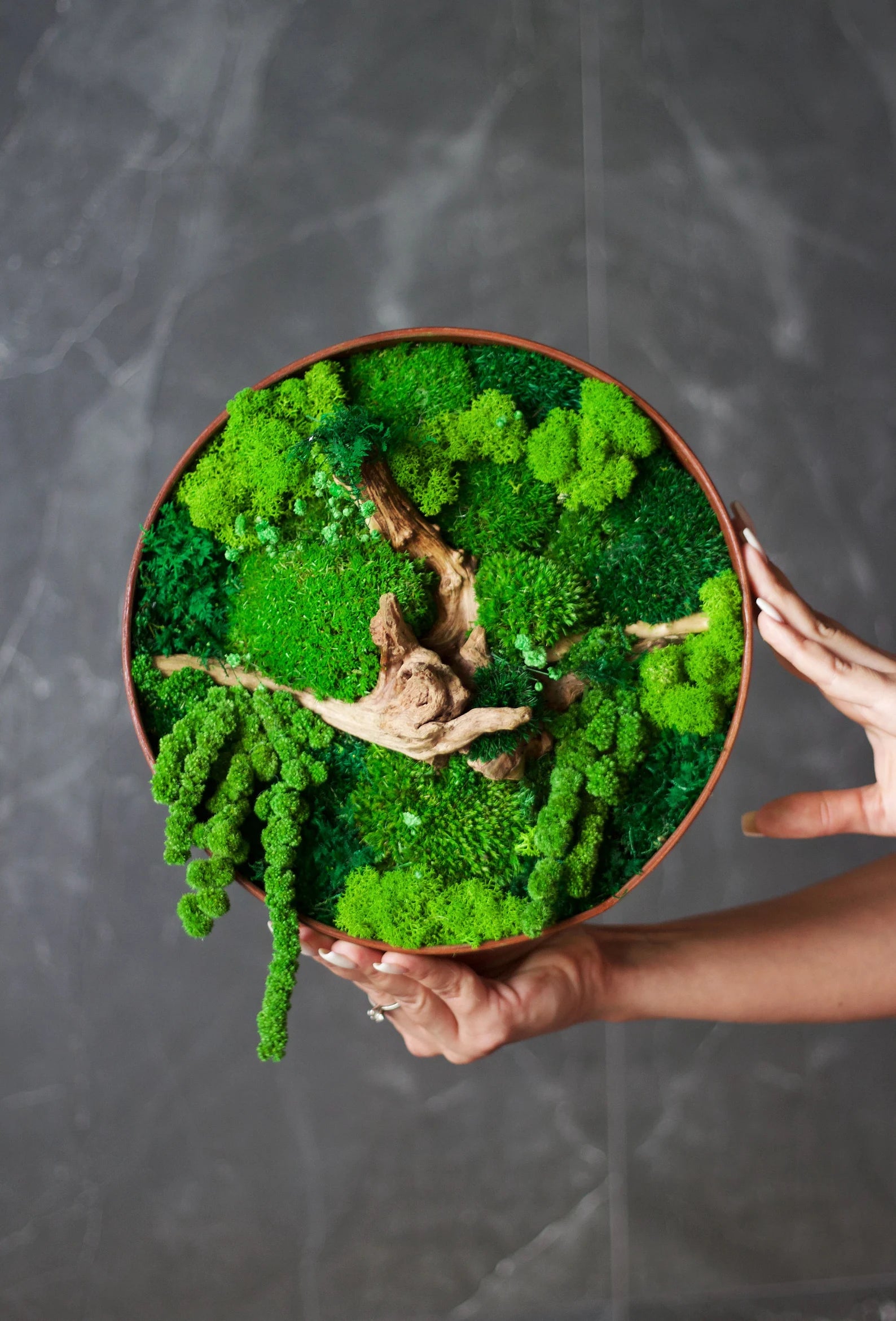 Wooden Moss Wall Art – Circular Green Wall Panel – Handmade Moss Decor