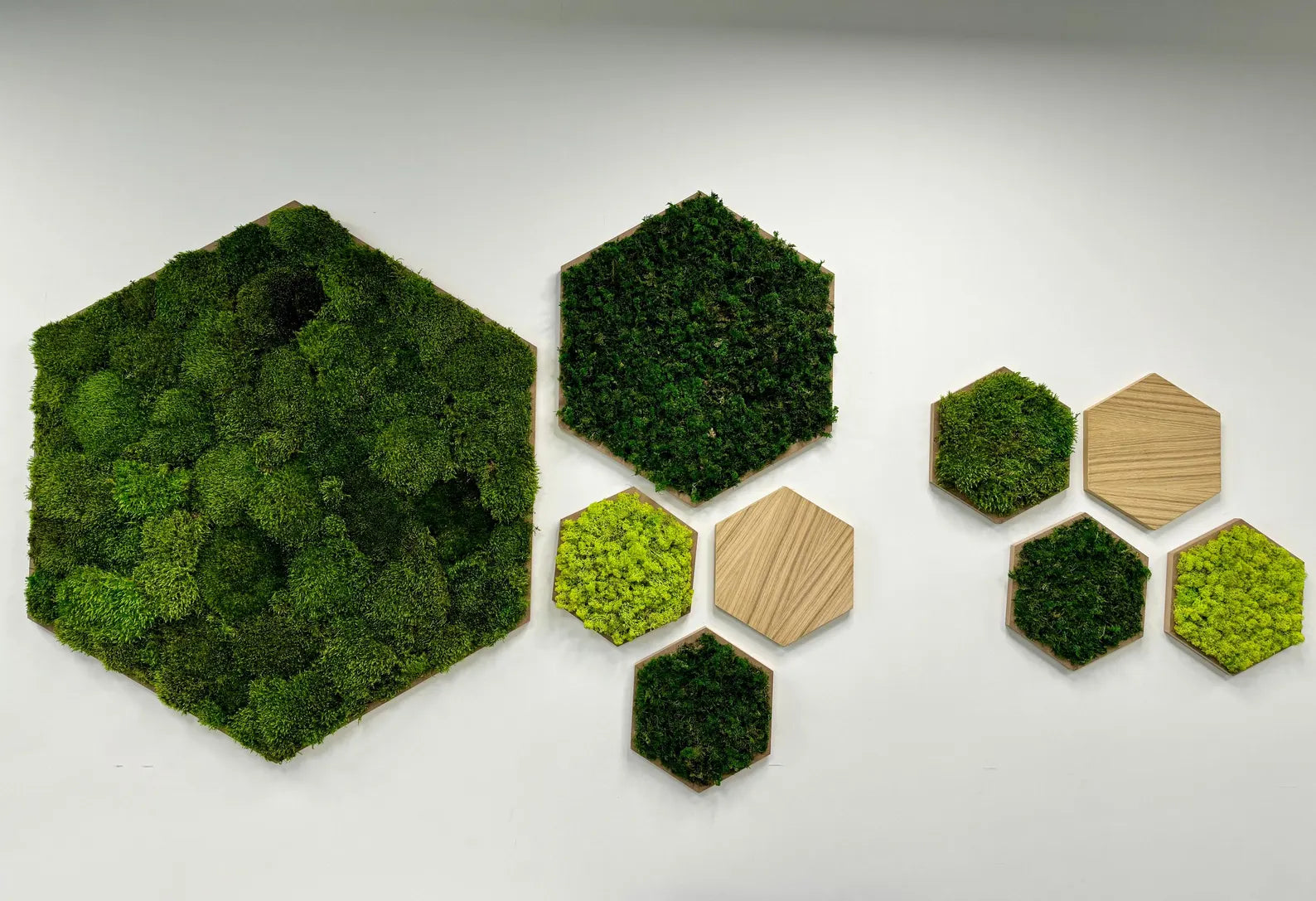 Moss Hexagon Frame – Natural Preserved Moss Wall Art Decor