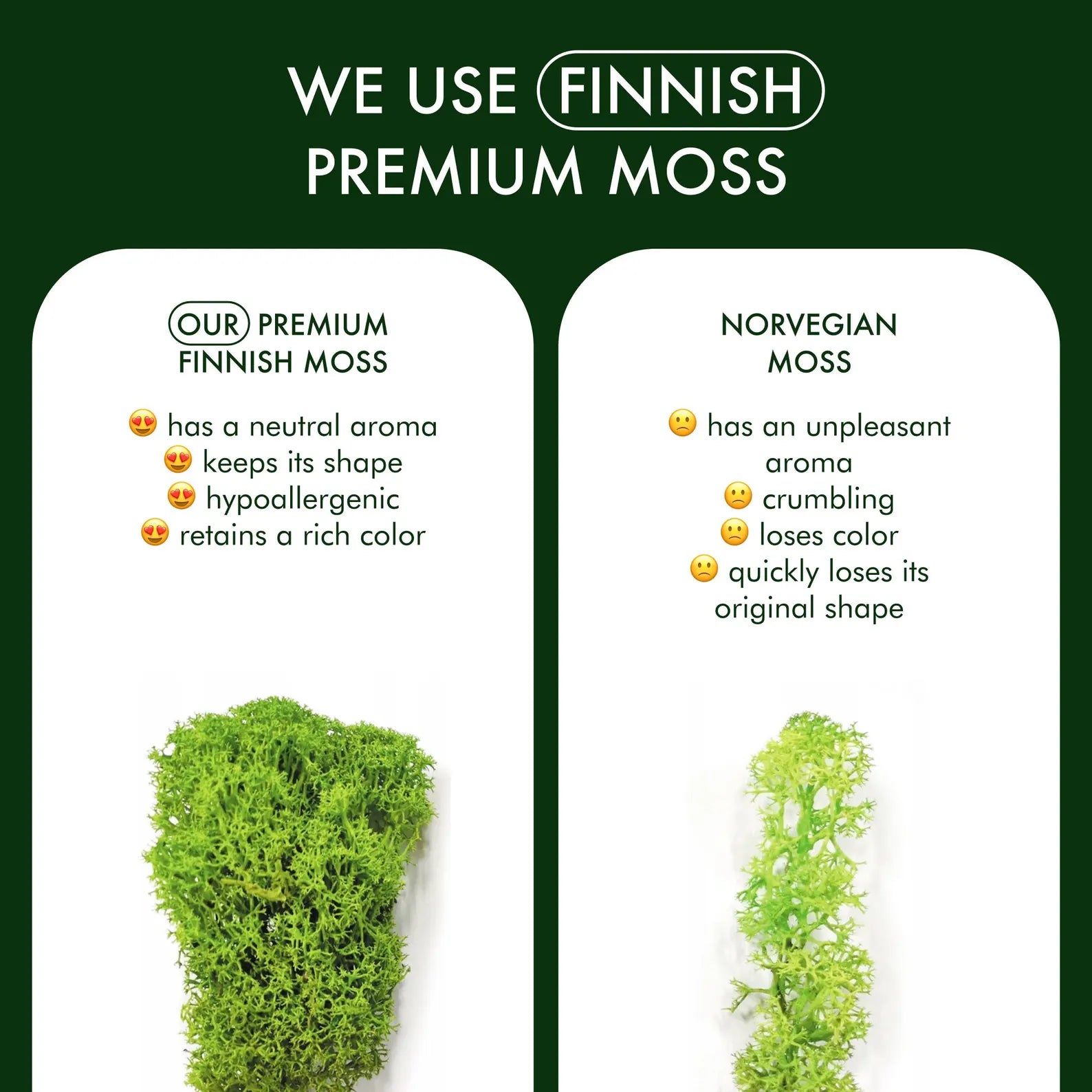 Autumn Carpathians Moss Wall Art – Stabilized Moss Wooden Frame Decor