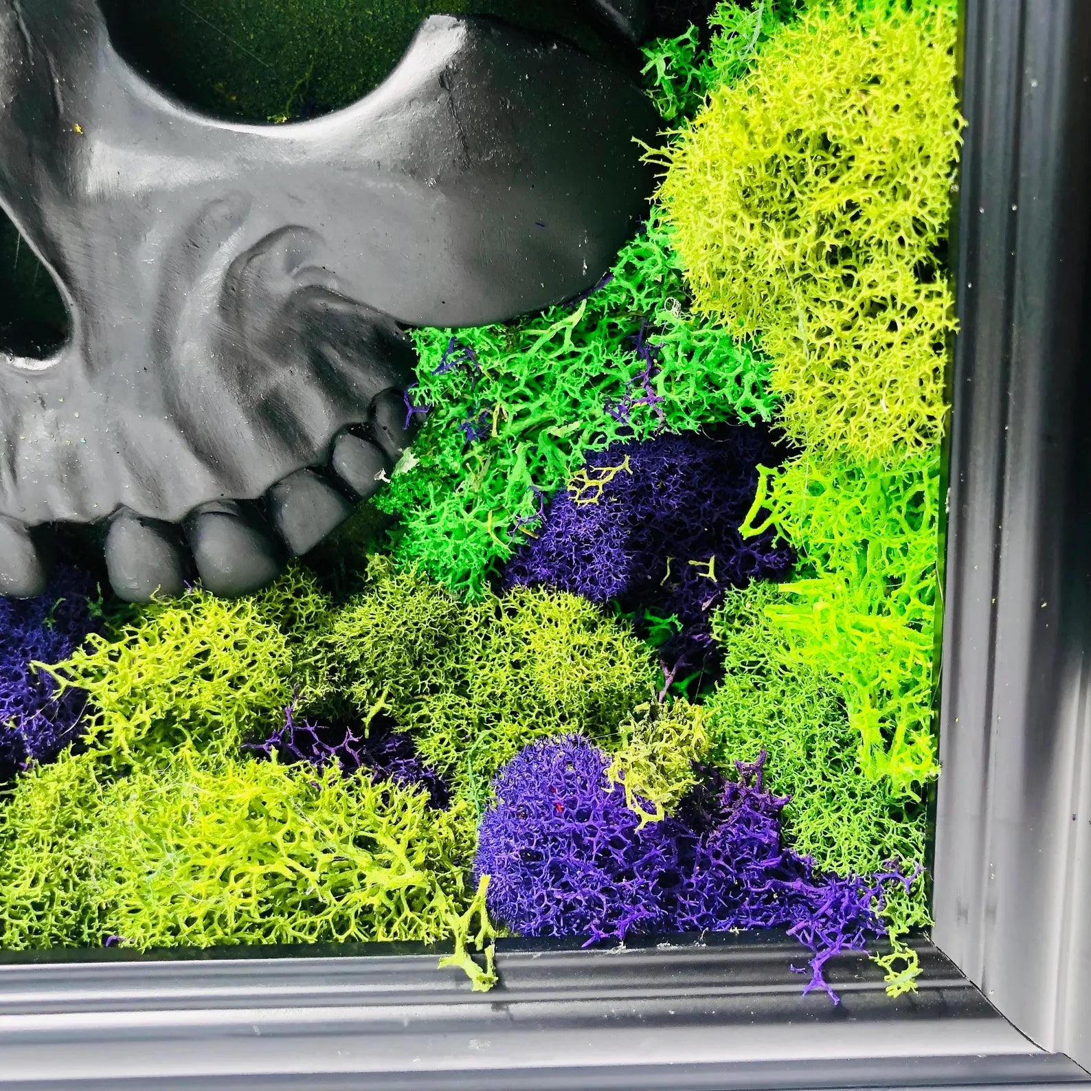 Skull Moss Wall Art – Framed Gothic Halloween Decor | Unique Floral Moss Artwork for Home