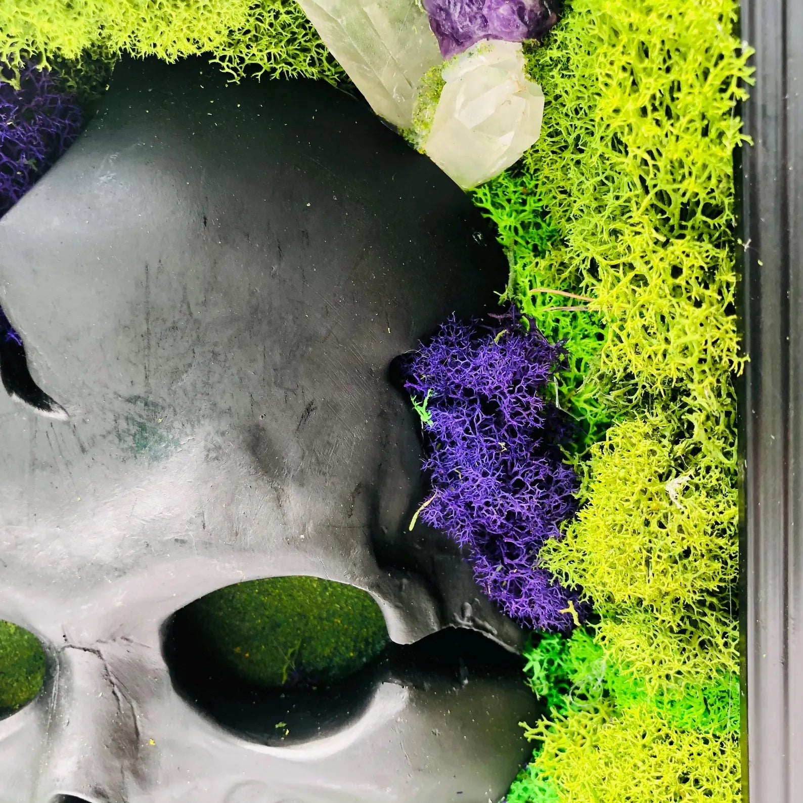 Skull Moss Wall Art – Framed Gothic Halloween Decor | Unique Floral Moss Artwork for Home