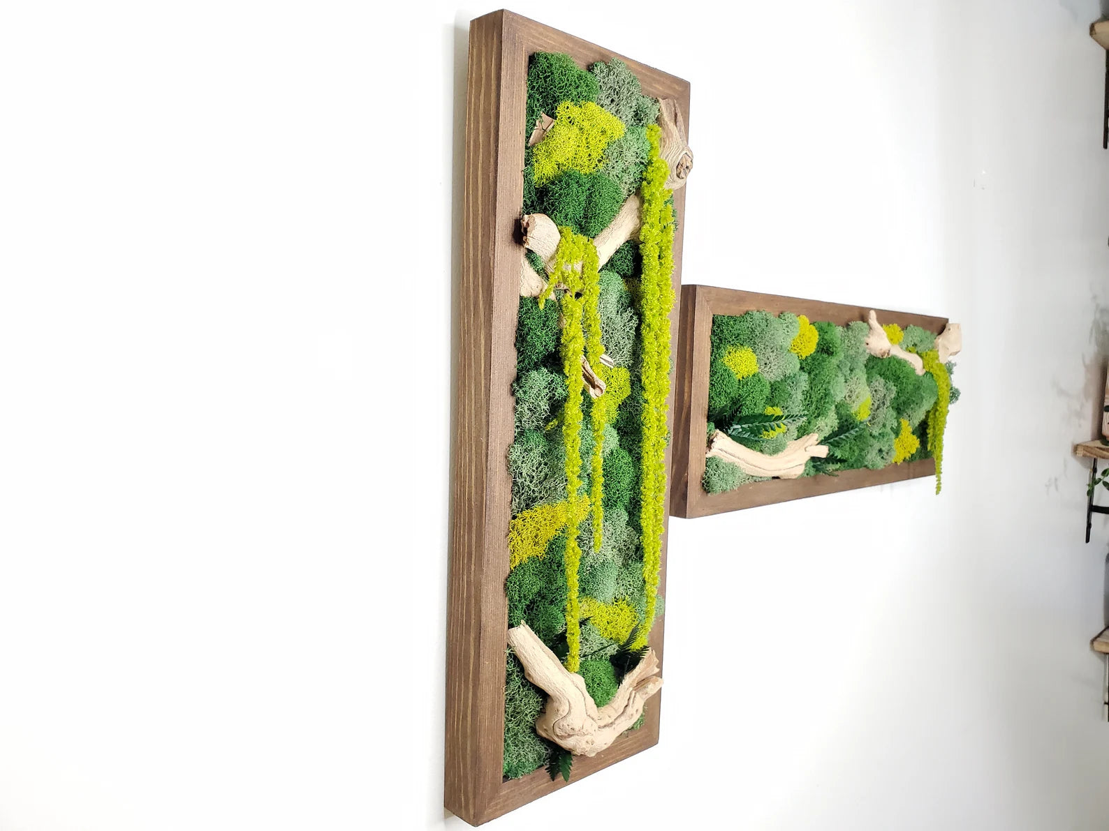 Boho Botanical Moss Wall Art – Natural Framed Hanging Display