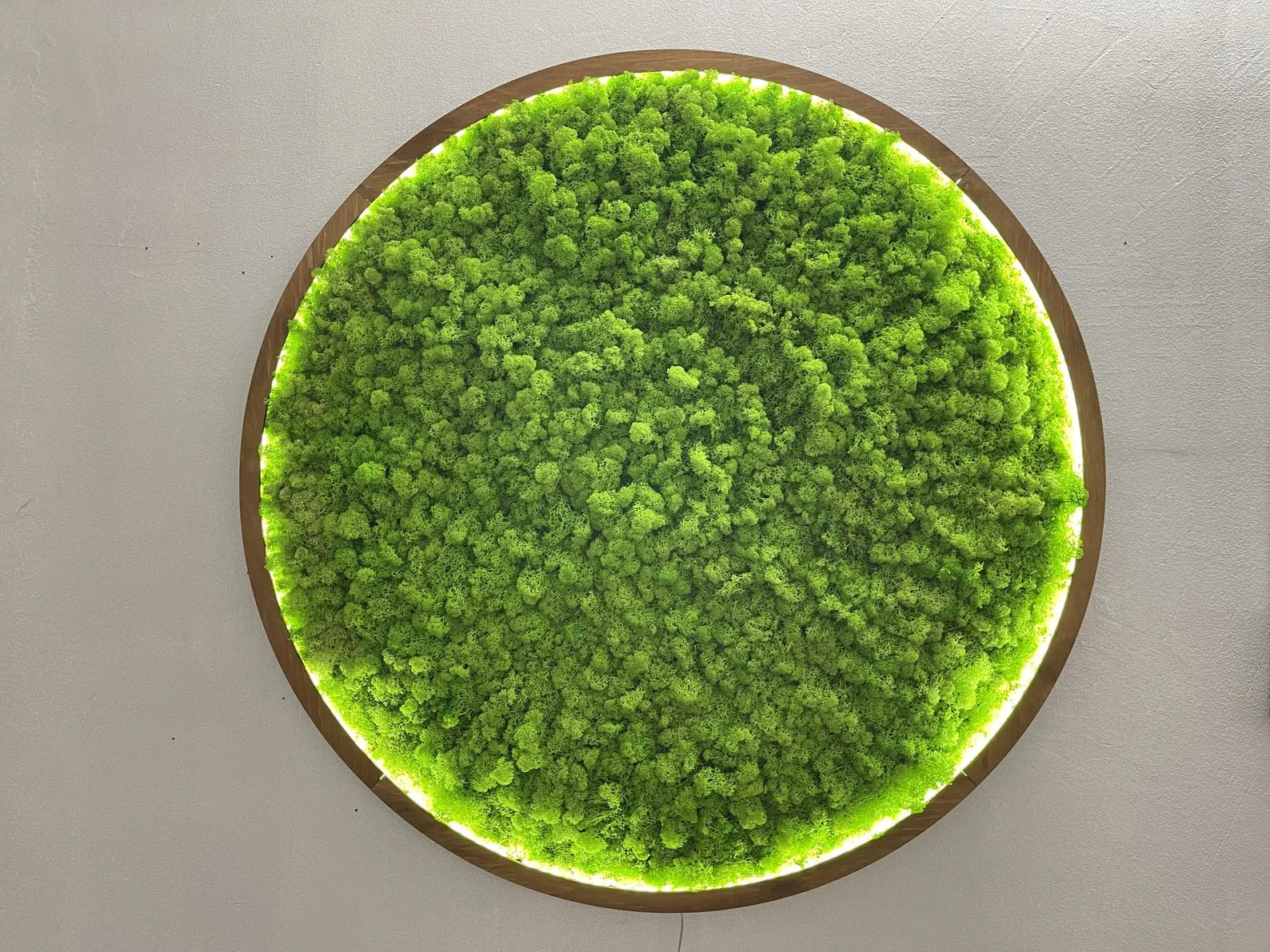 LED Moss Wall Art – Extra Large Natural Dried & Preserved Moss Décor for Aesthetic Interiors
