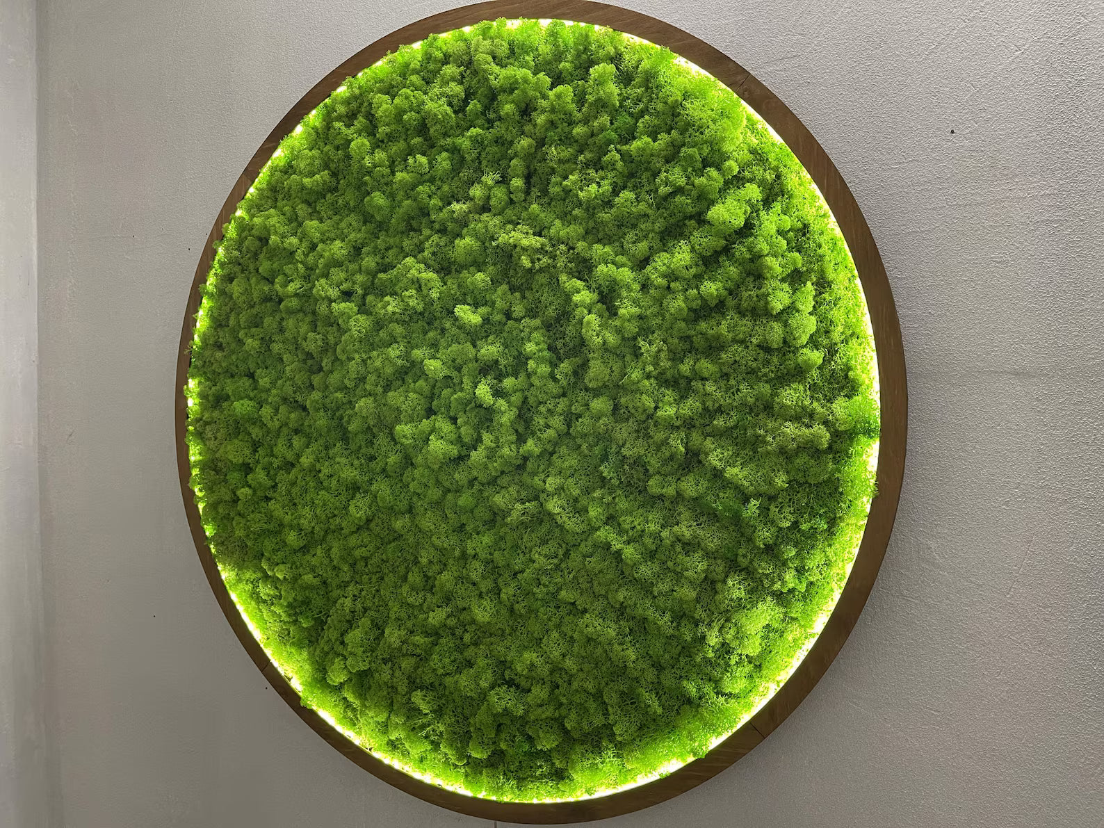 LED Moss Wall Art – Extra Large Natural Dried & Preserved Moss Décor for Aesthetic Interiors