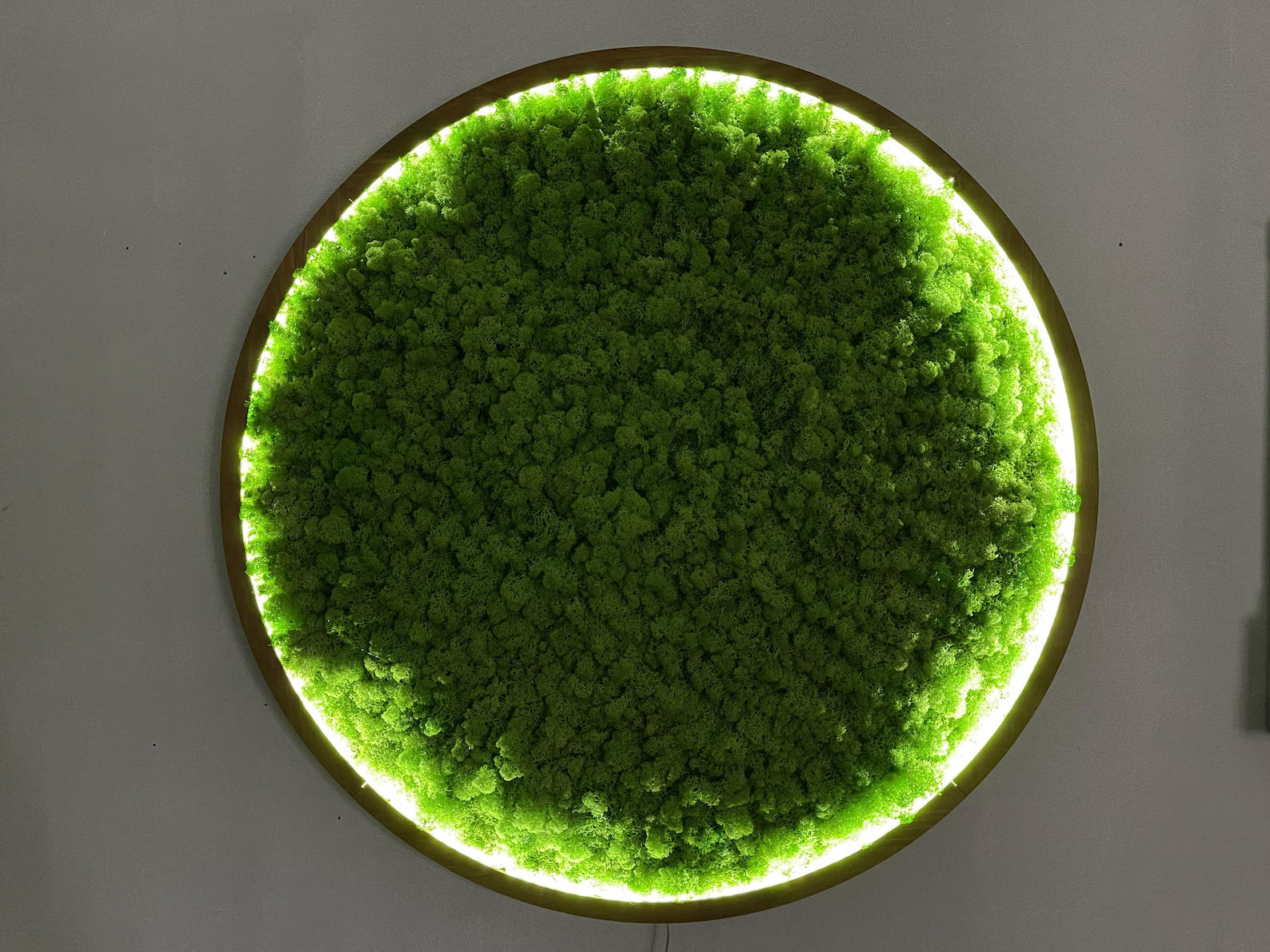 LED Moss Wall Art – Extra Large Natural Dried & Preserved Moss Décor for Aesthetic Interiors