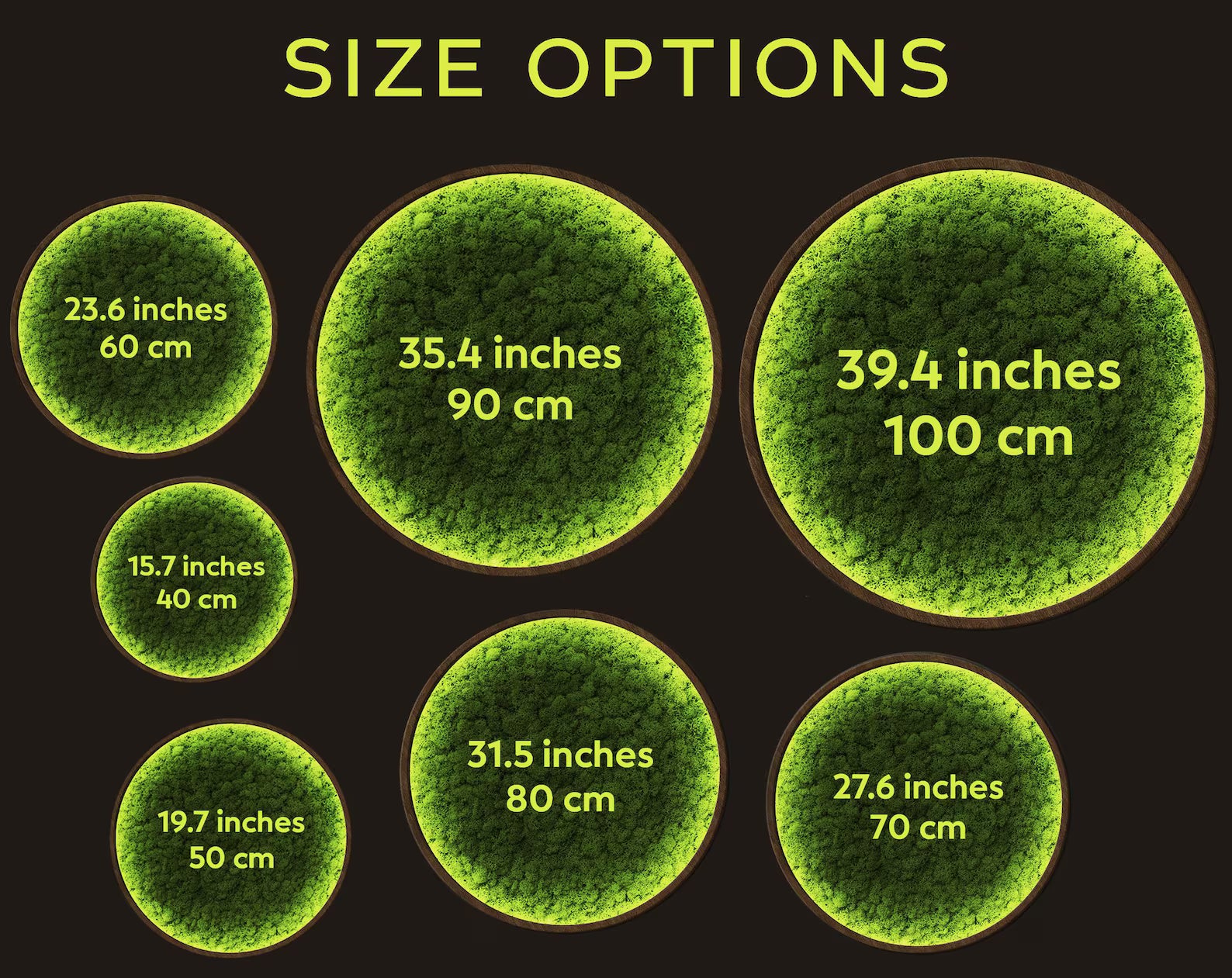 LED Moss Wall Art – Extra Large Natural Dried & Preserved Moss Décor for Aesthetic Interiors