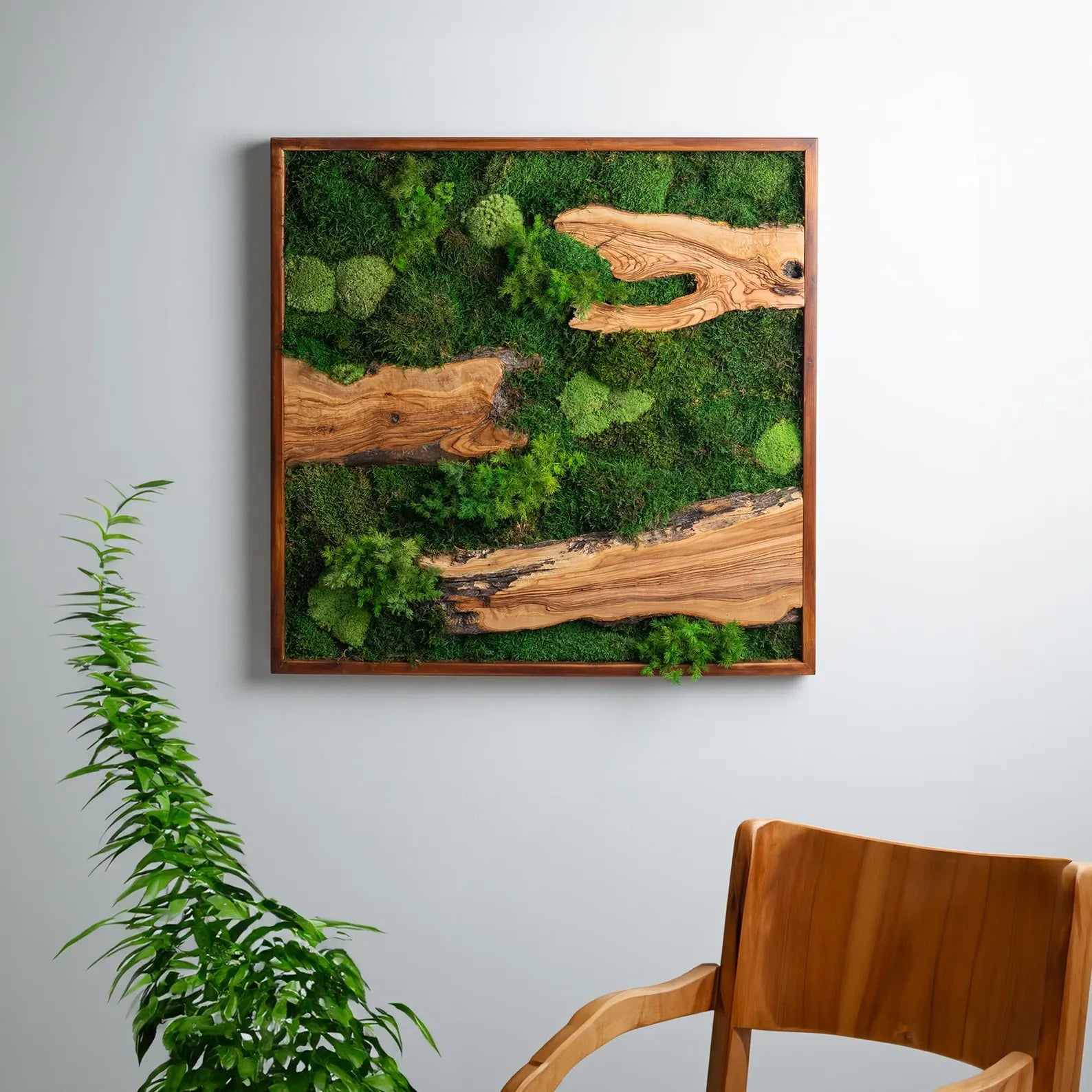 Moss and Olive Wood Wall Art – Square Wooden Frame with Preserved Moss for Living Room Décor