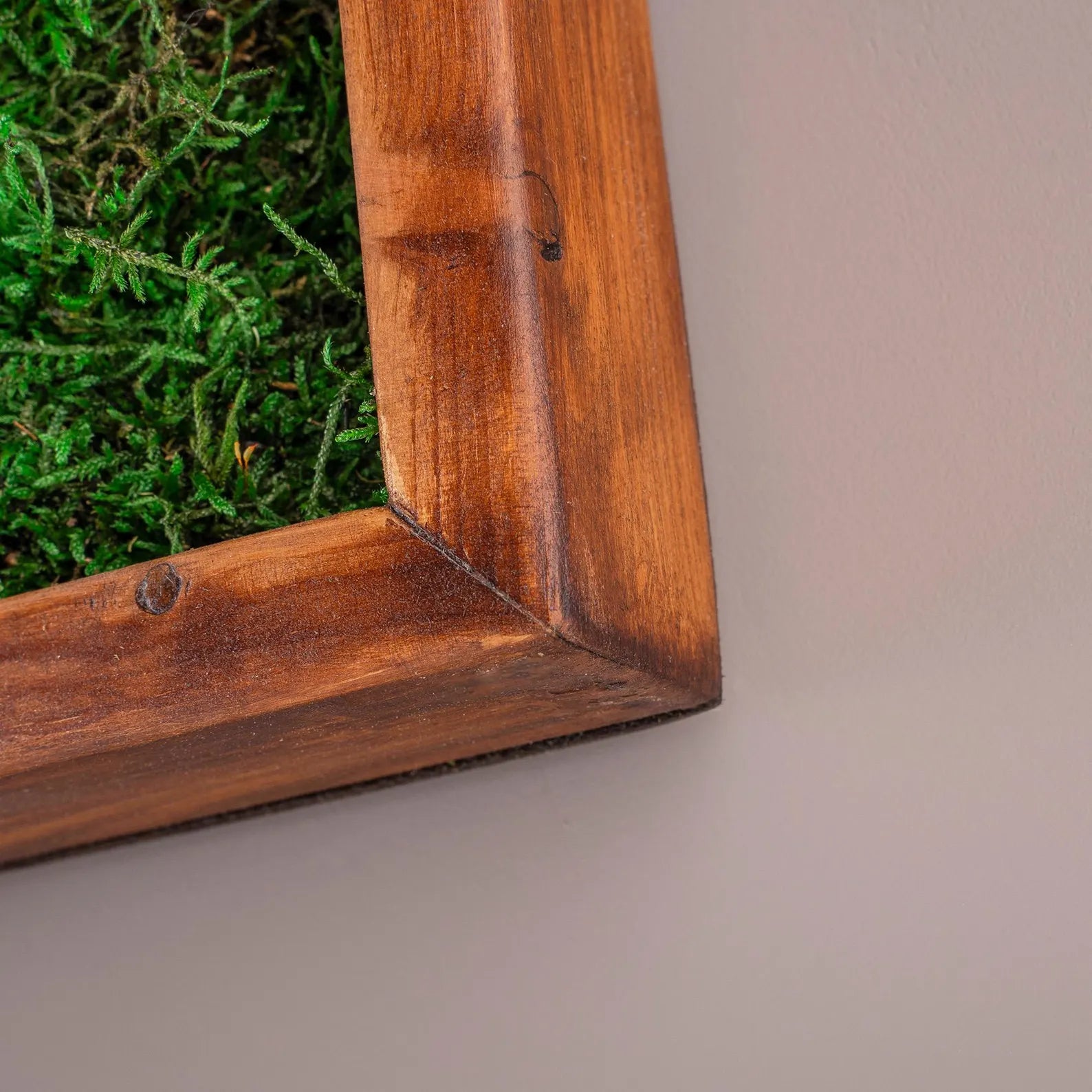 Moss and Olive Wood Wall Art – Square Wooden Frame with Preserved Moss for Living Room Décor