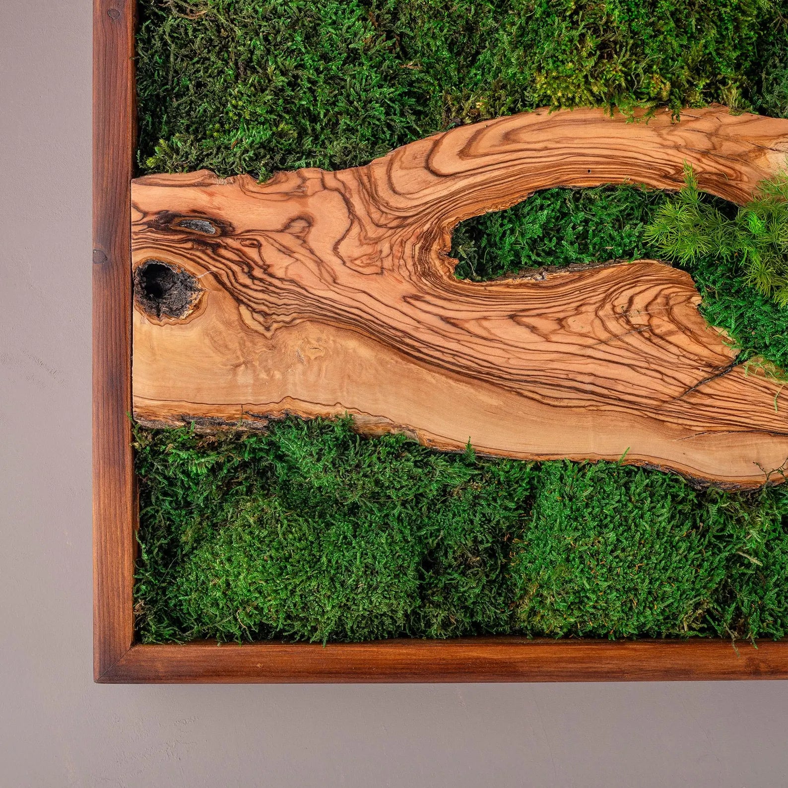 Moss and Olive Wood Wall Art – Square Wooden Frame with Preserved Moss for Living Room Décor