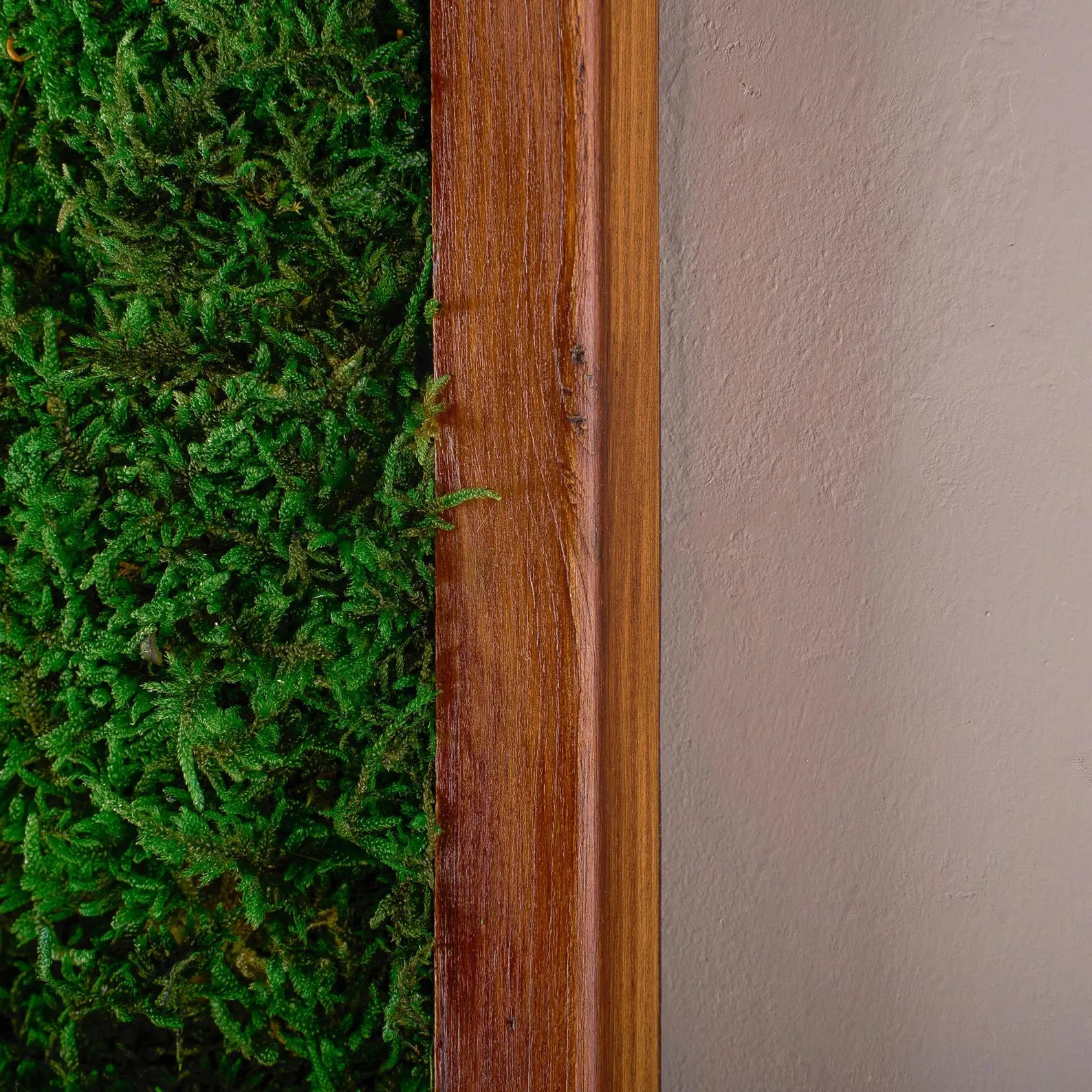 Moss and Olive Wood Wall Art – Square Wooden Frame with Preserved Moss for Living Room Décor