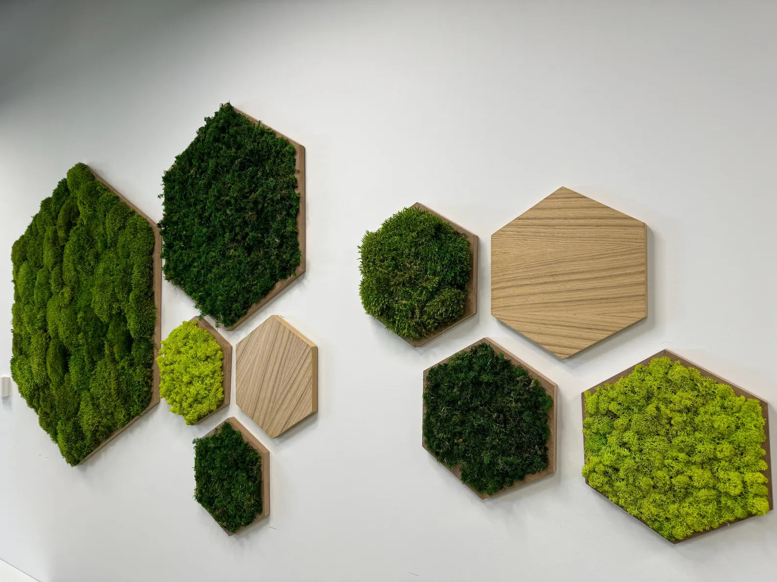 Moss Hexagon Frame – Natural Preserved Moss Wall Art Decor
