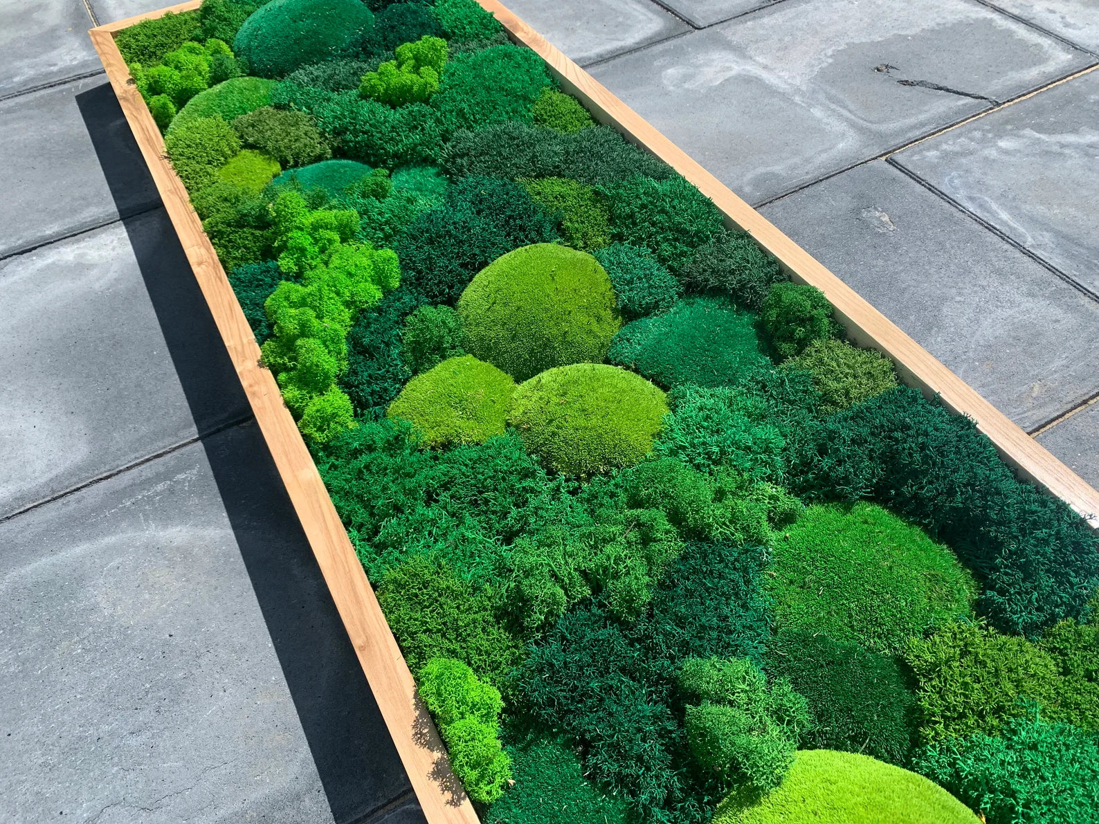 Moss Wall Art – Preserved Green Moss in Wooden Frame | Luxury Living Wall Decor