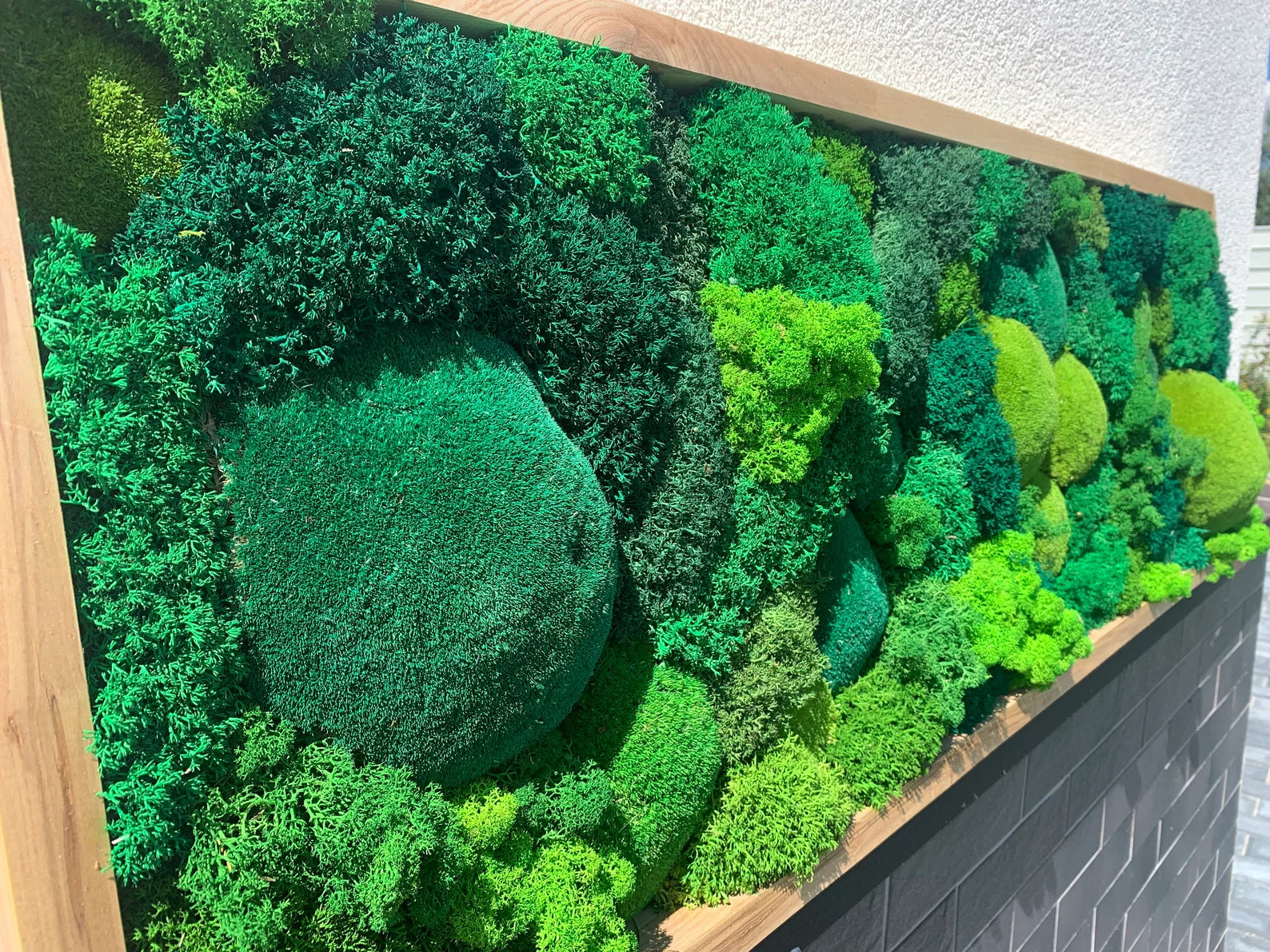 Moss Wall Art – Preserved Green Moss in Wooden Frame | Luxury Living Wall Decor