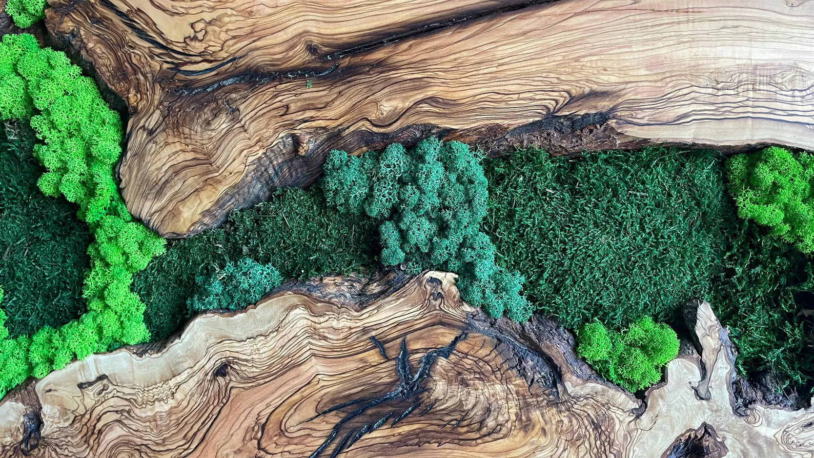 Moss and Wood Wall Art – Rustic Natural Wall Decor for Home or Office
