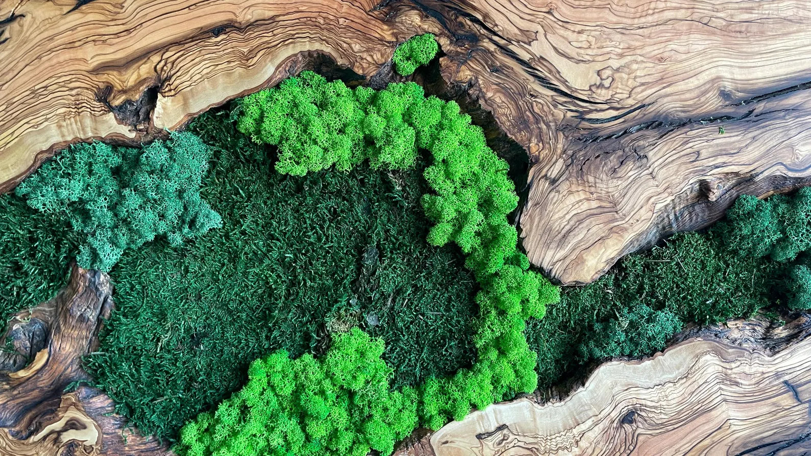 Moss and Wood Wall Art – Rustic Natural Wall Decor for Home or Office