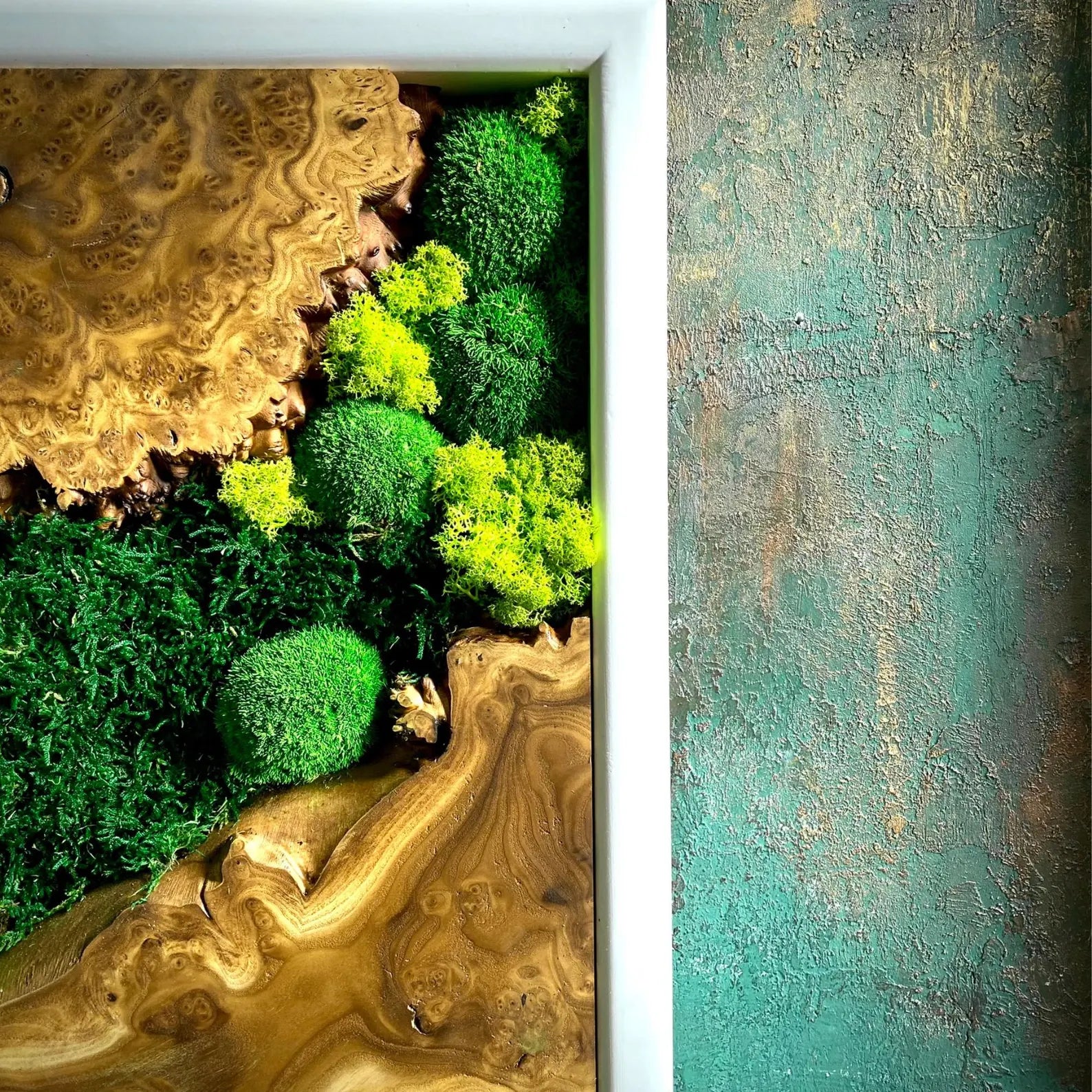 Handcrafted Moss Wall Art with Olive Wood – Rustic Wooden Home Decor