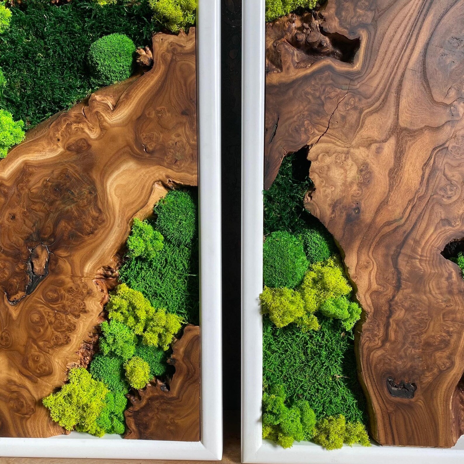 Handcrafted Olive Wood & Preserved Moss Wall Art – Live Edge Rustic Decor
