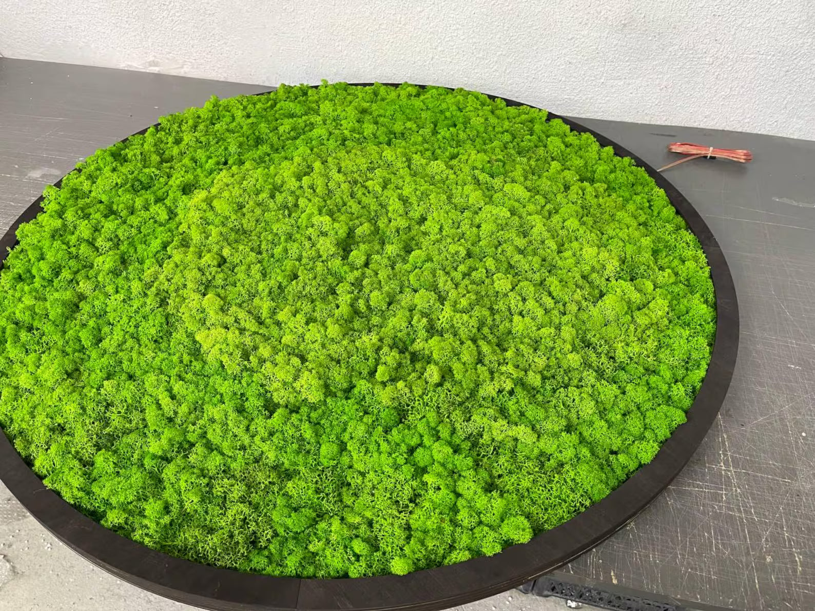 LED Moss Wall Art – Extra Large Natural Dried & Preserved Moss Décor for Aesthetic Interiors