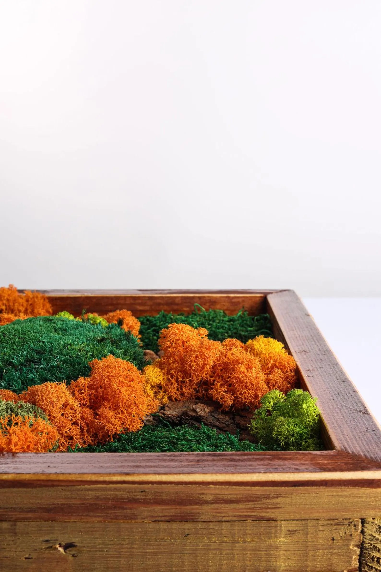 Autumn Carpathians Moss Wall Art – Stabilized Moss Wooden Frame Decor