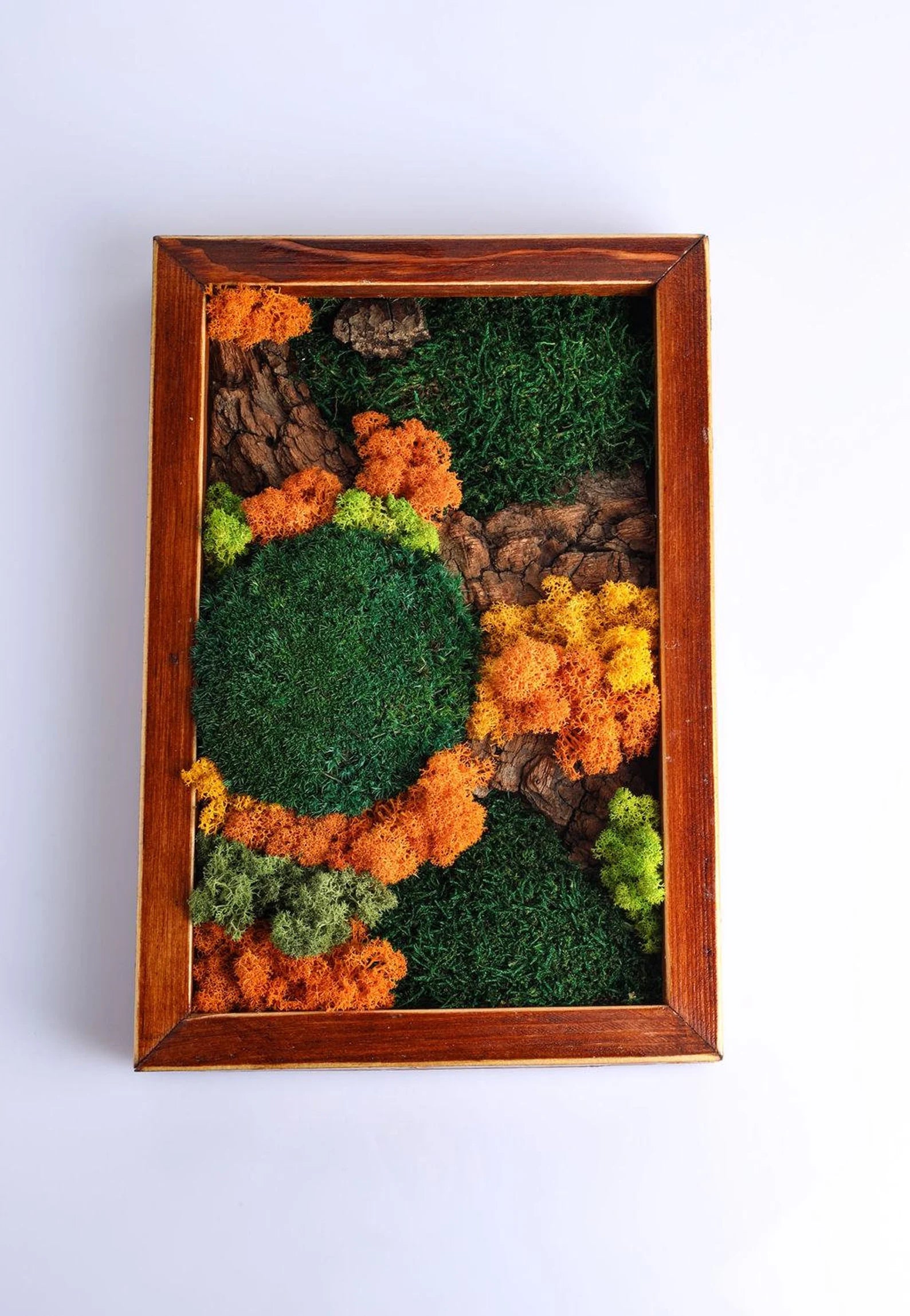 Autumn Carpathians Moss Wall Art – Stabilized Moss Wooden Frame Decor