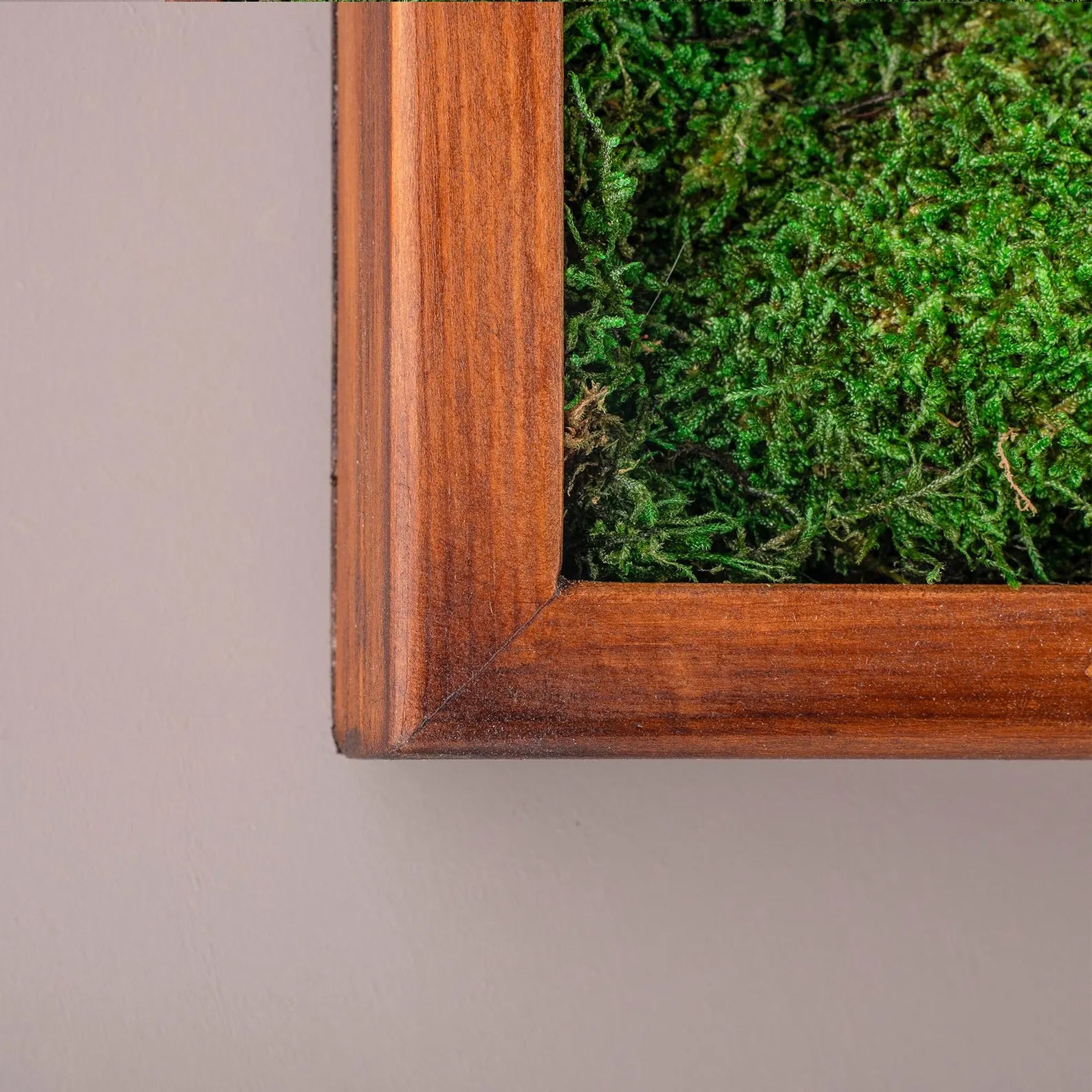Moss and Olive Wood Wall Art – Square Wooden Frame with Preserved Moss for Living Room Décor