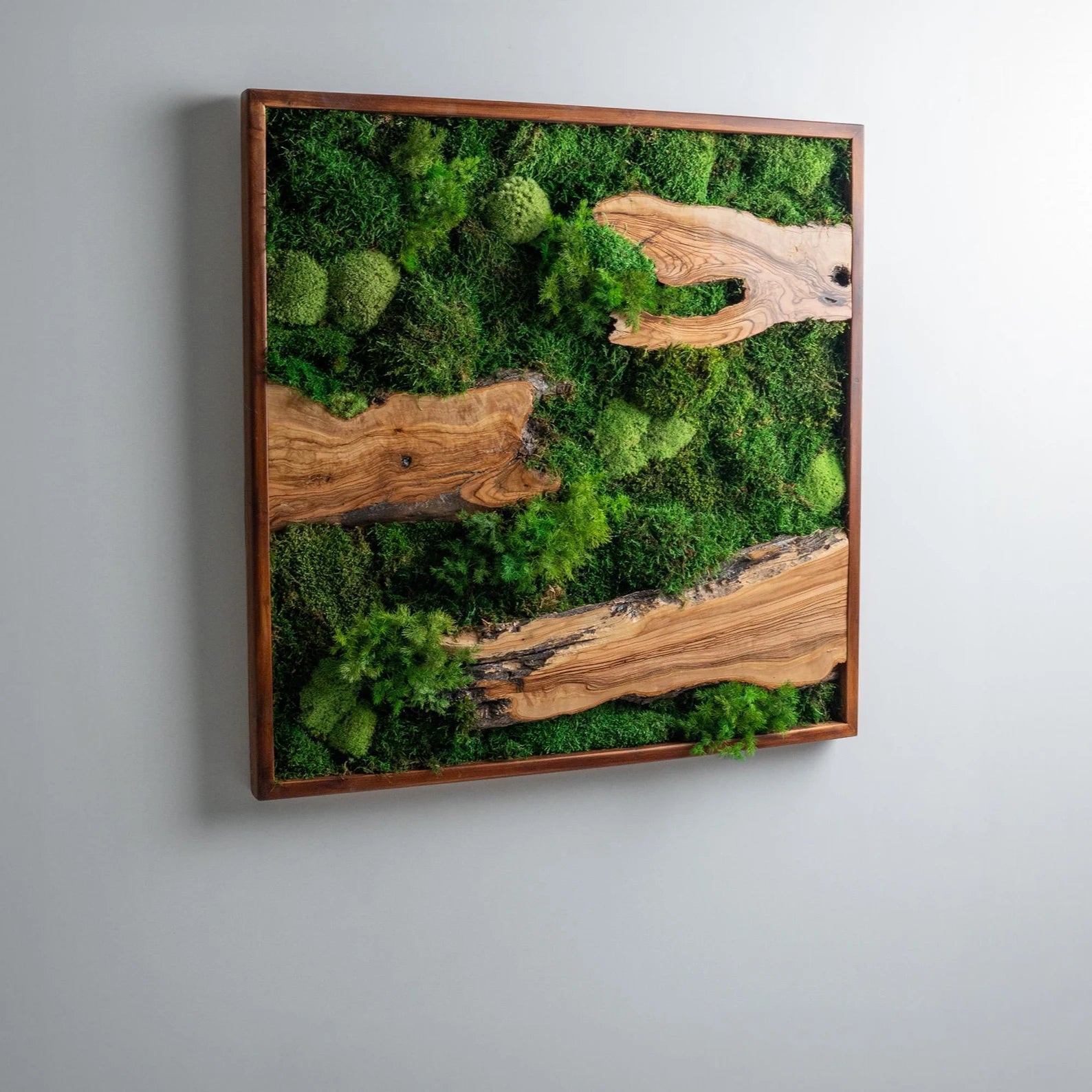 Moss and Olive Wood Wall Art – Square Wooden Frame with Preserved Moss for Living Room Décor